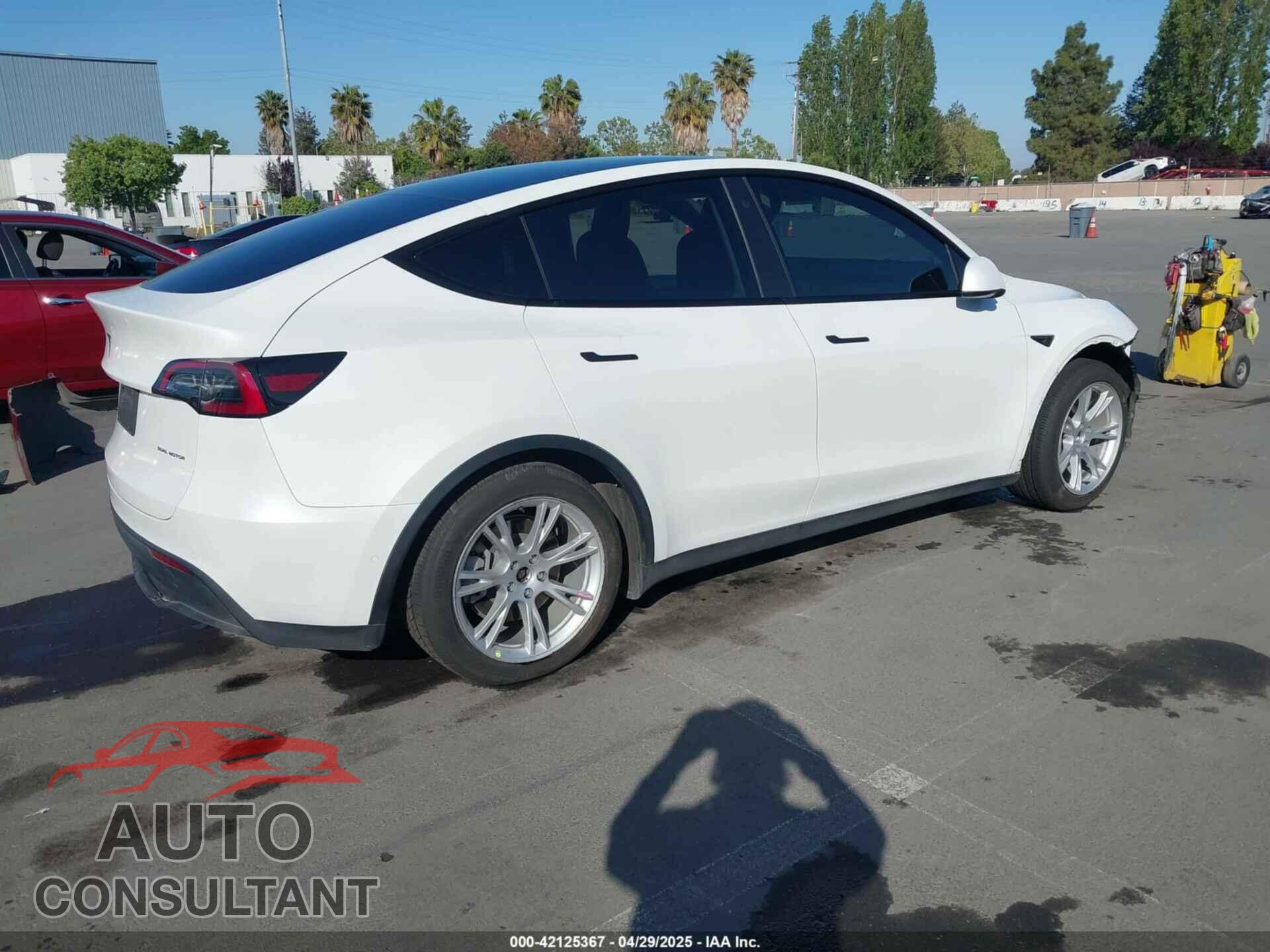 TESLA MODEL Y 2021 - 5YJYGAEE6MF281799