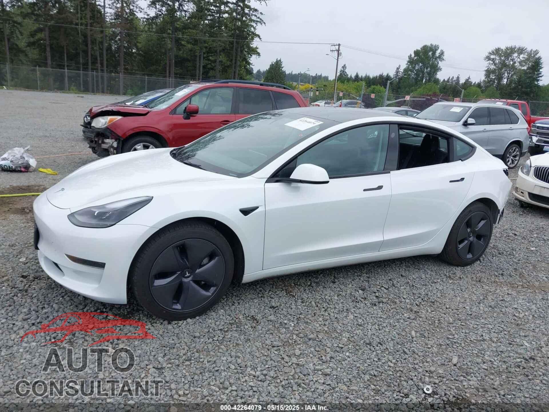 TESLA MODEL 3 2021 - 5YJ3E1EA7MF098215