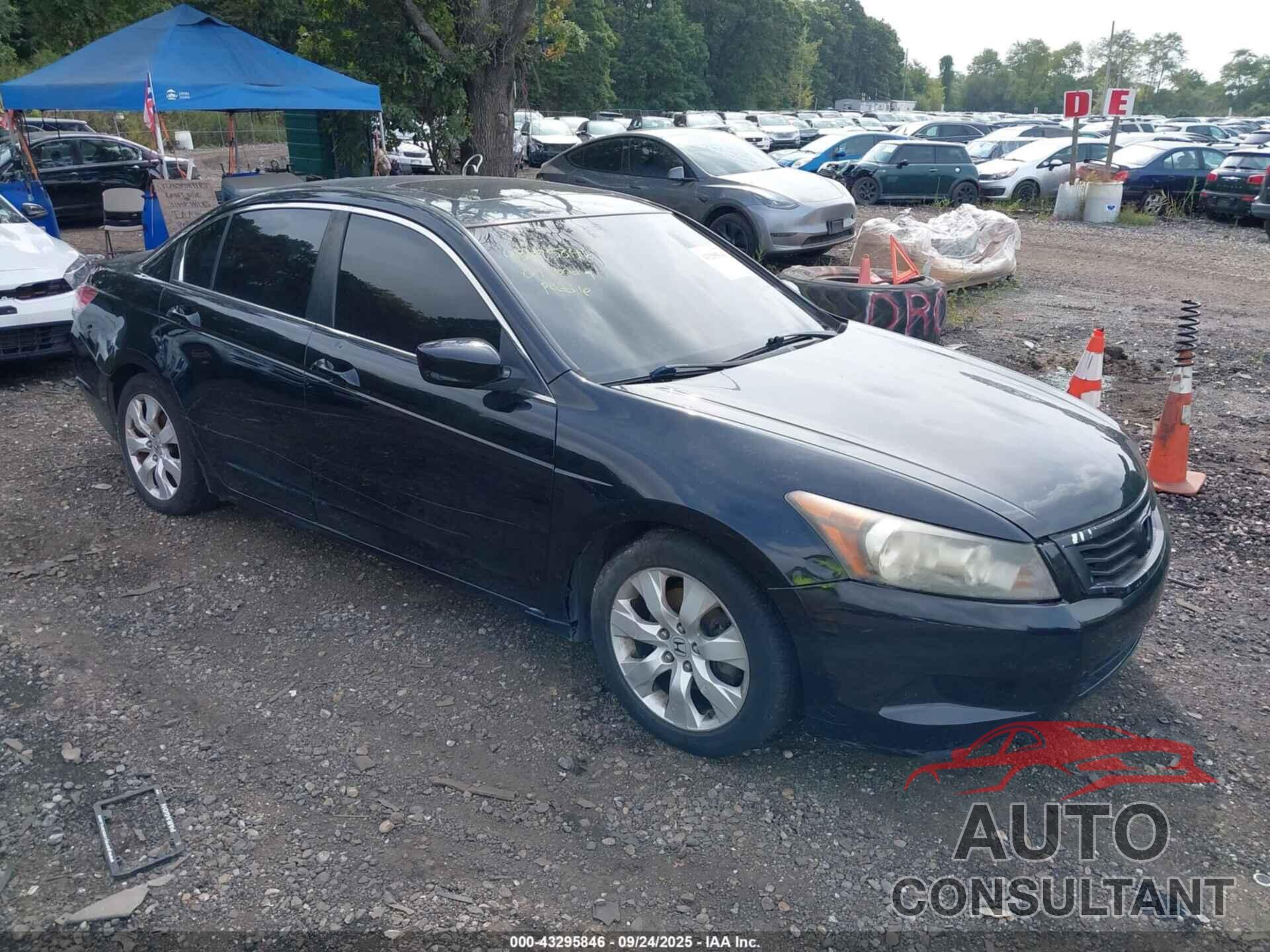 HONDA ACCORD 2009 - JHMCP26879C015896