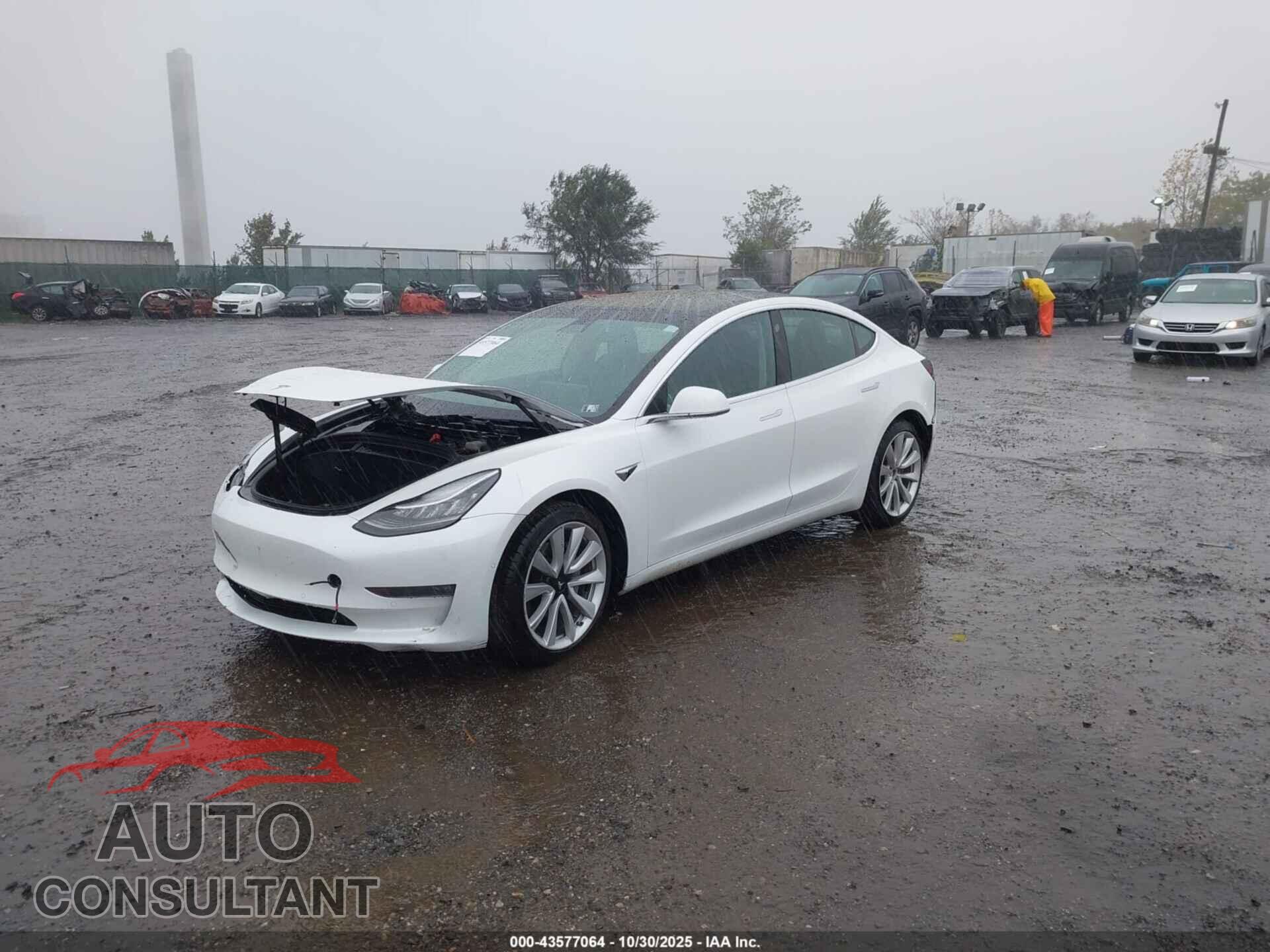 TESLA MODEL 3 2019 - 5YJ3E1EA0KF327038