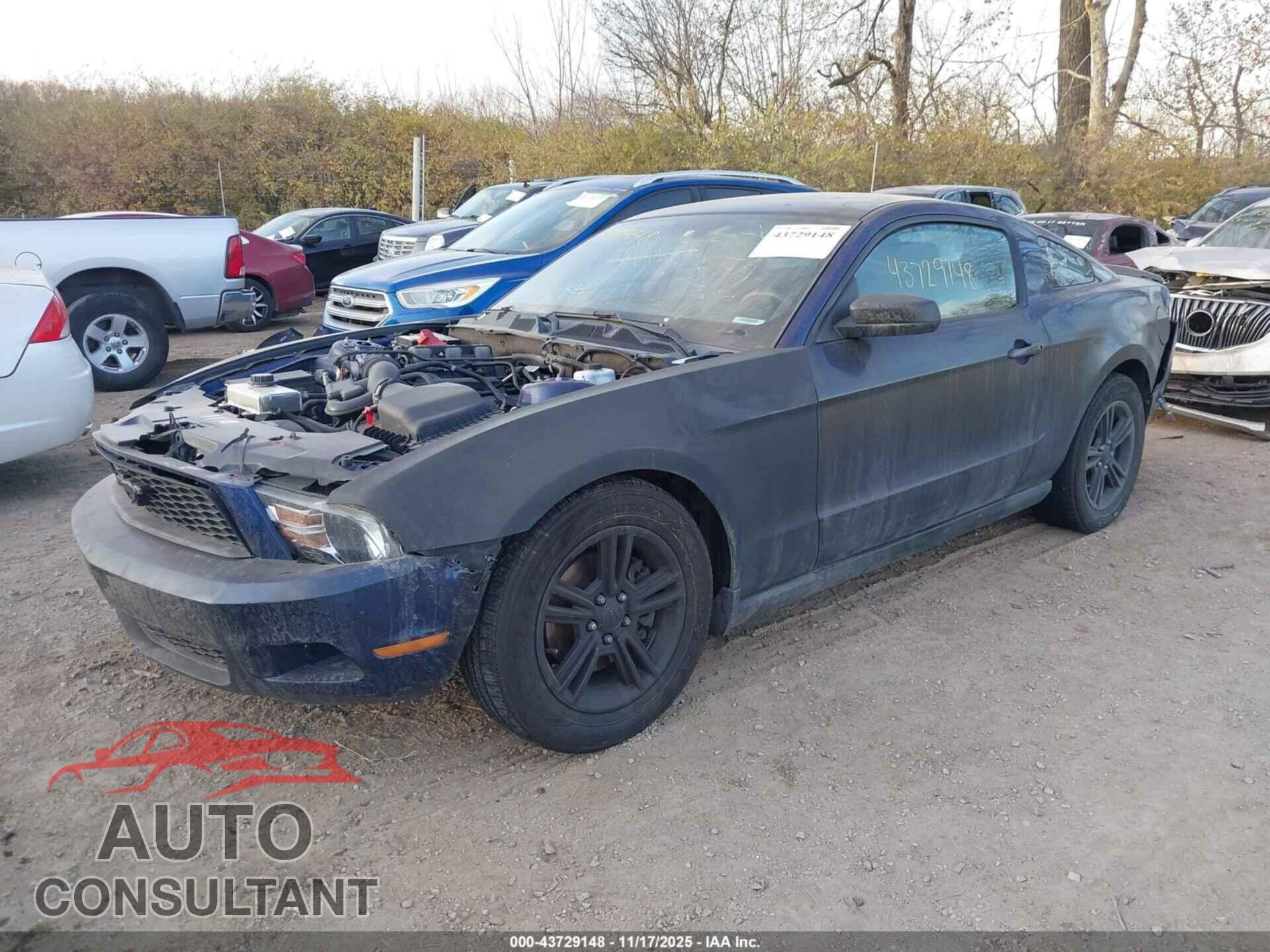 FORD MUSTANG 2012 - 1ZVBP8AM8C5283627