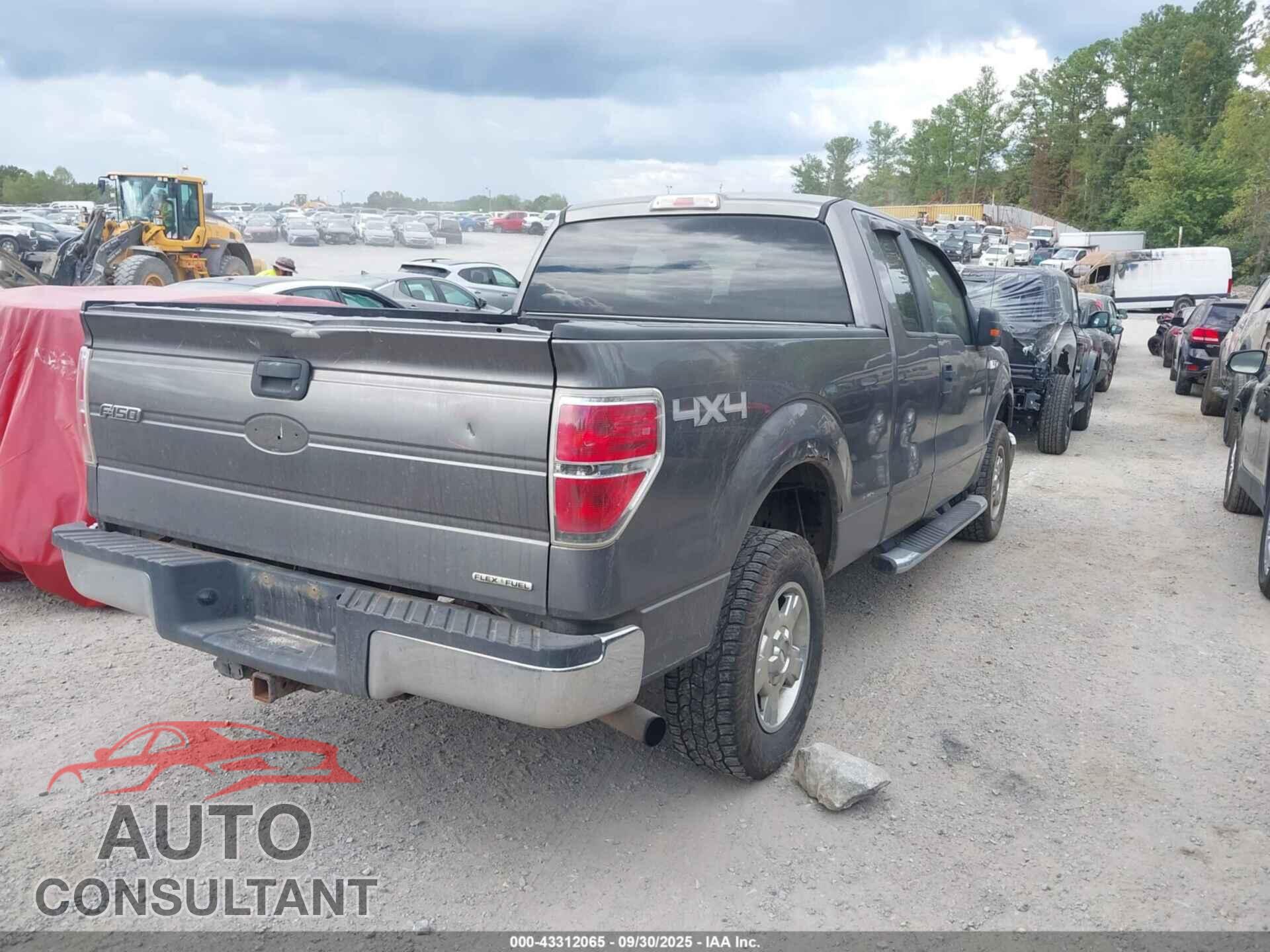 FORD F-150 2011 - 1FTFX1EF7BFA58065