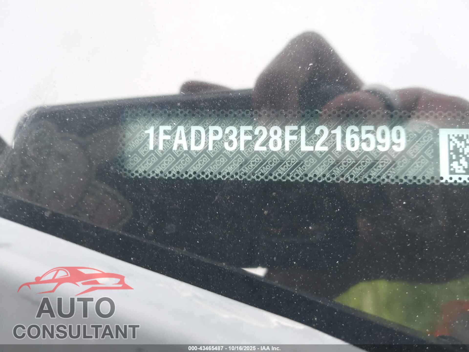 FORD FOCUS 2015 - 1FADP3F28FL216599