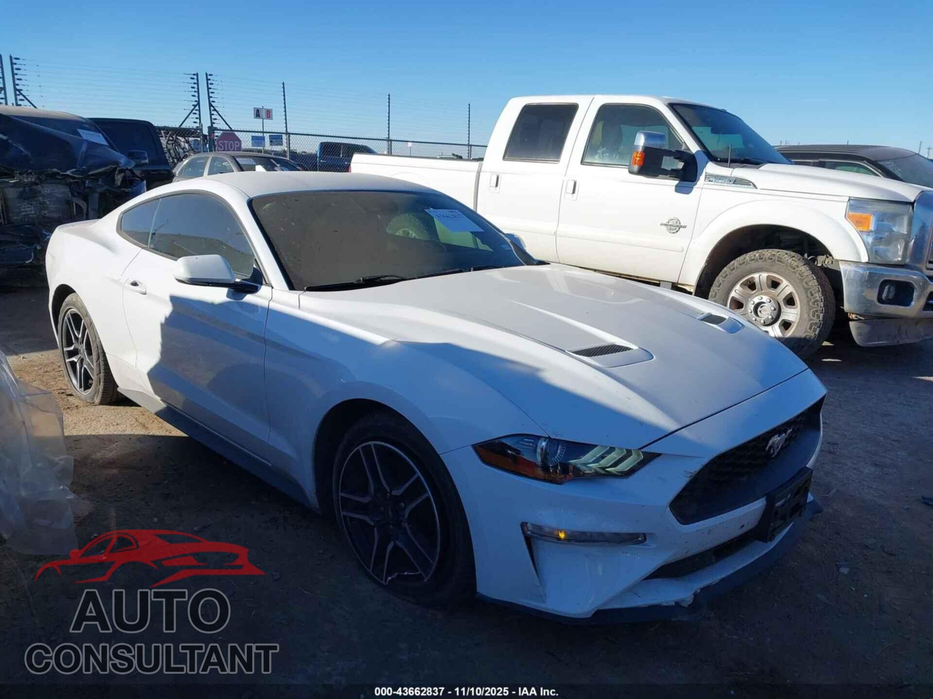 FORD MUSTANG 2021 - 1FA6P8TH9M5154940