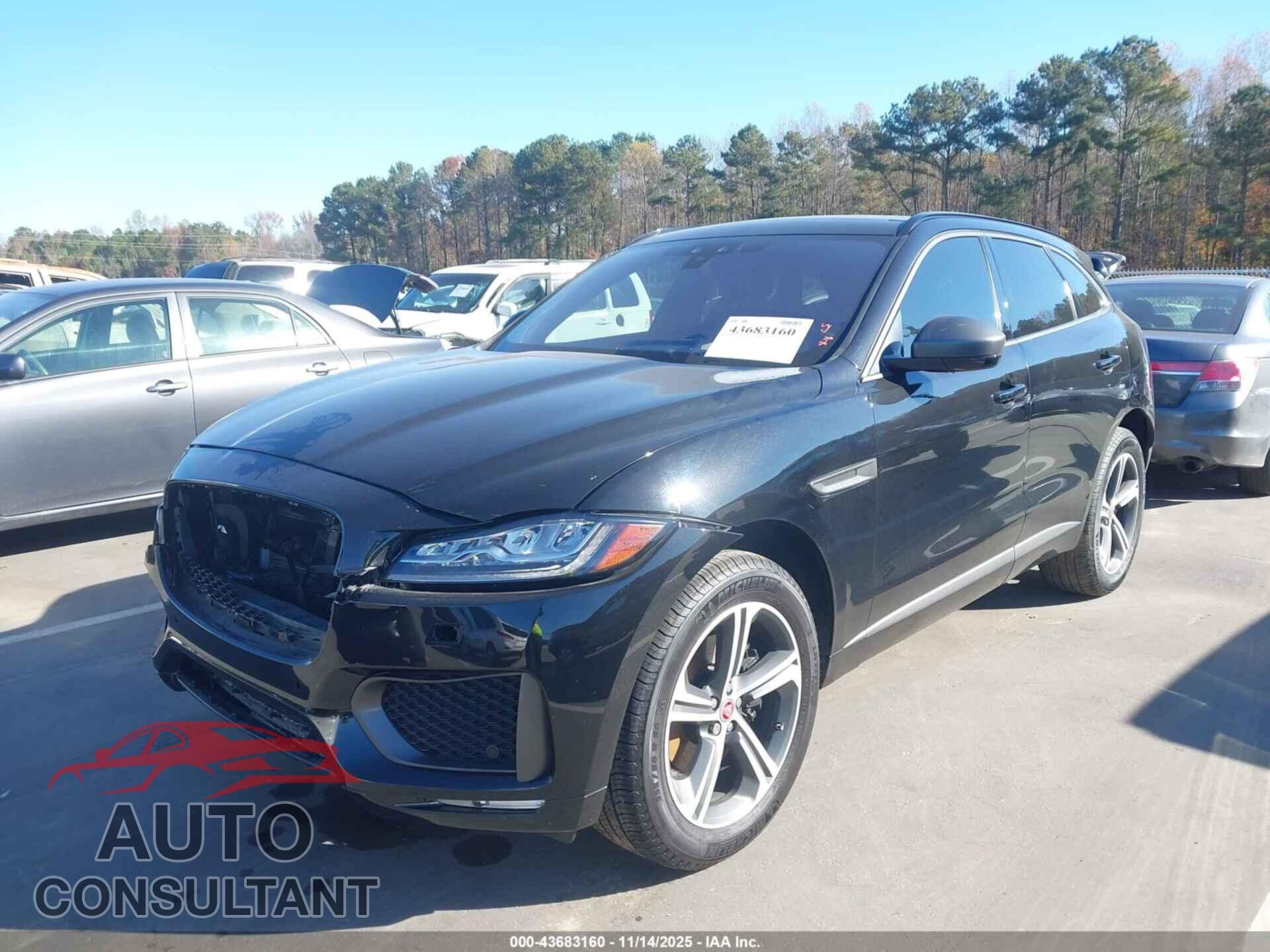 JAGUAR F-PACE 2020 - SADCX2GX2LA652385