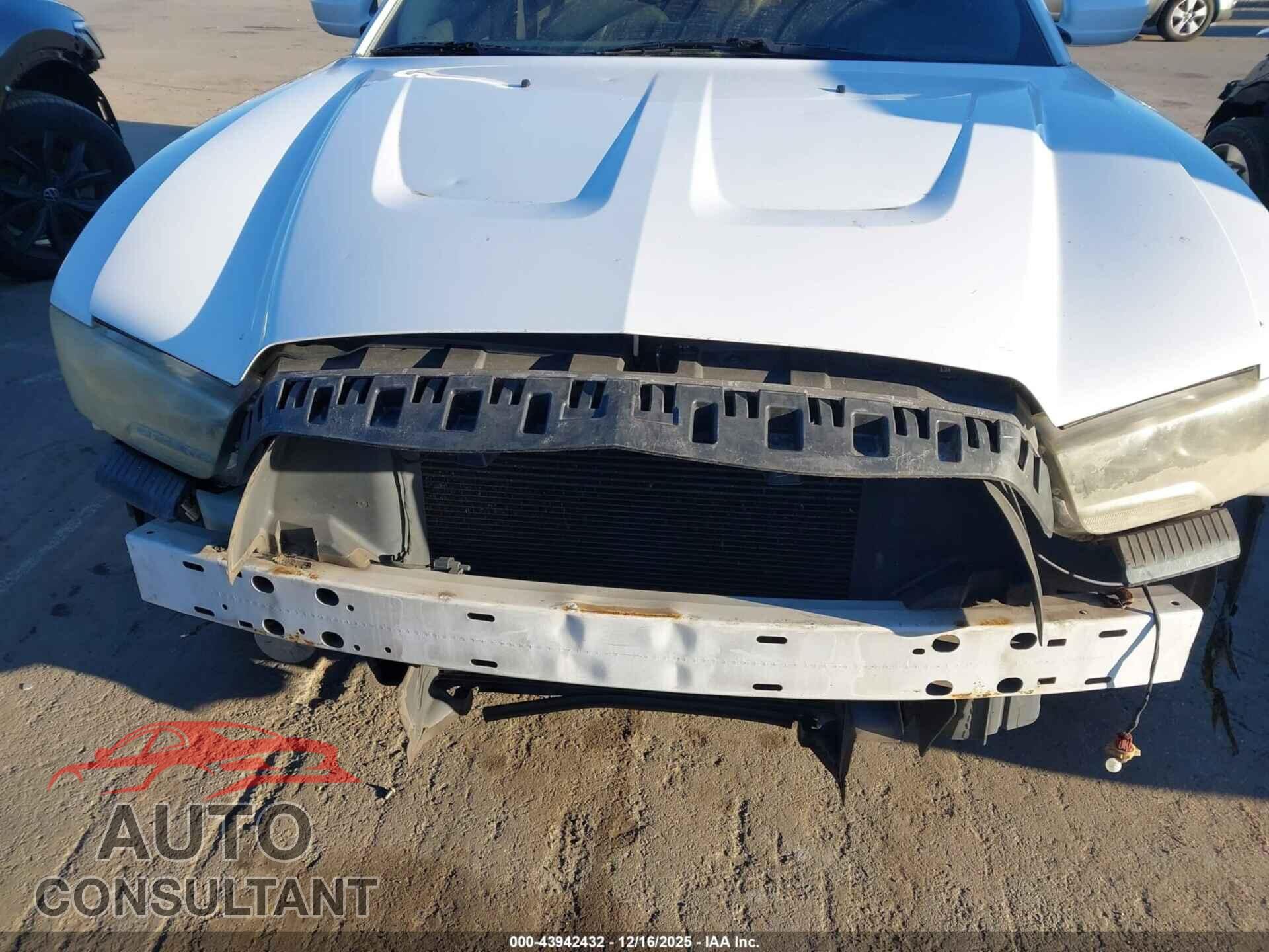 DODGE CHARGER 2011 - 2B3CL3CG2BH548077