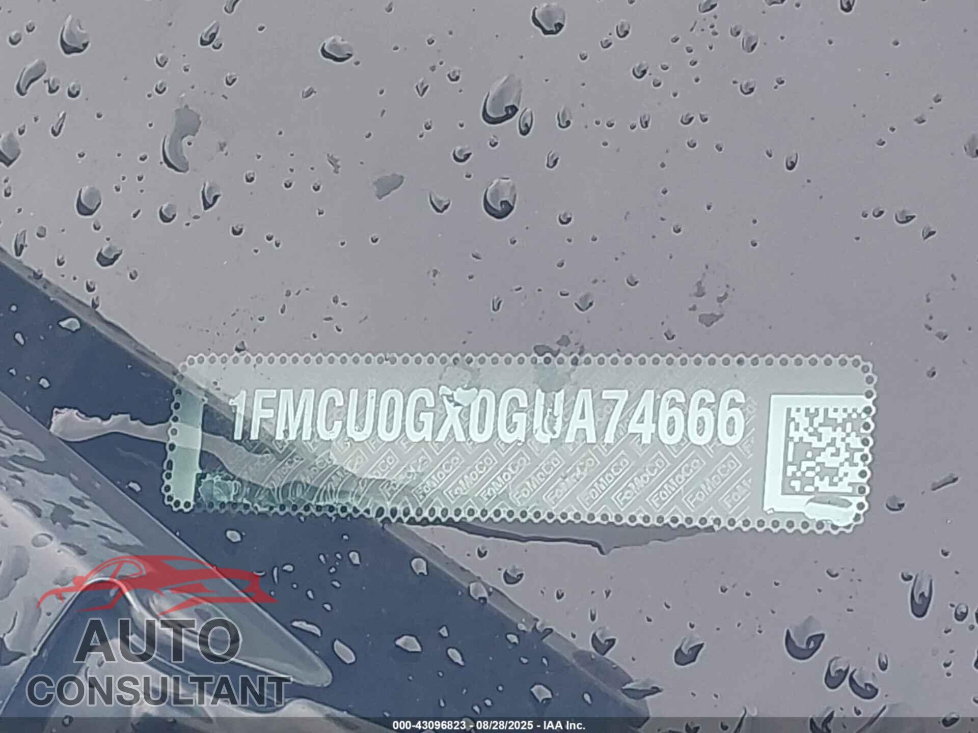 FORD ESCAPE 2016 - 1FMCU0GX0GUA74666