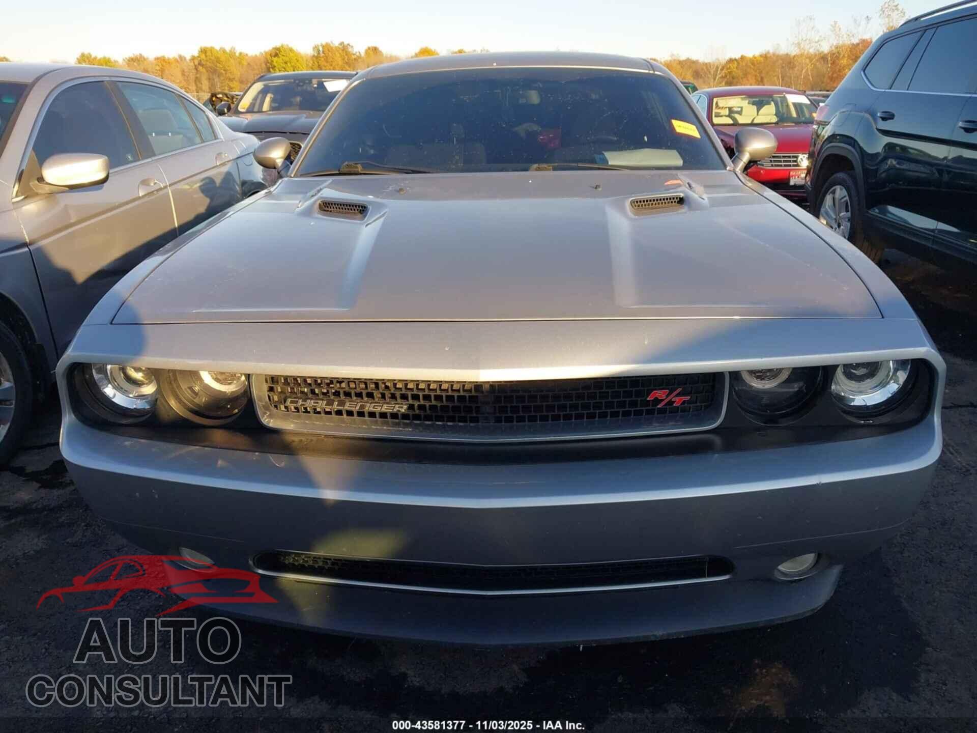 DODGE CHALLENGER 2013 - 2C3CDYBT8DH660123
