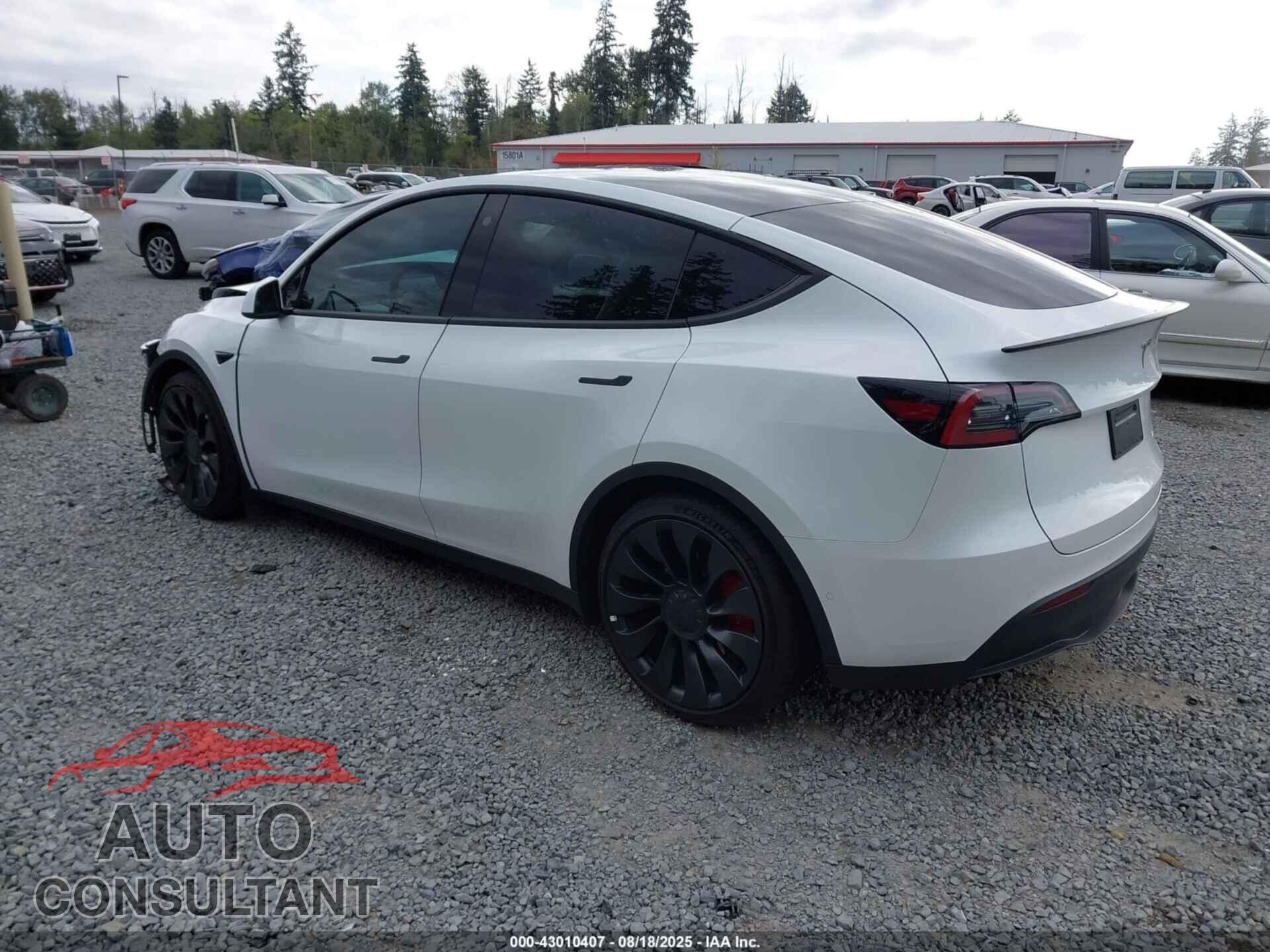 TESLA MODEL Y 2022 - 7SAYGDEF3NF565275