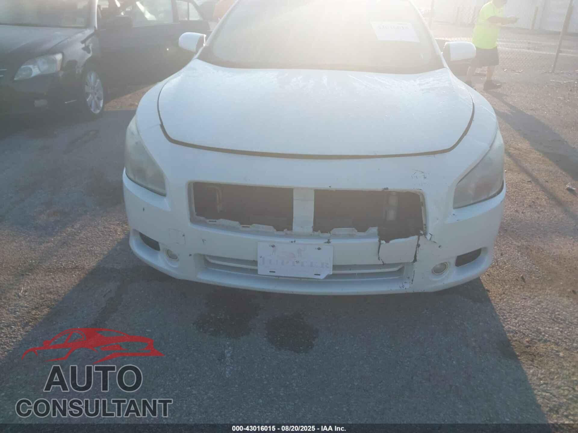 NISSAN MAXIMA 2013 - 1N4AA5AP7DC822203