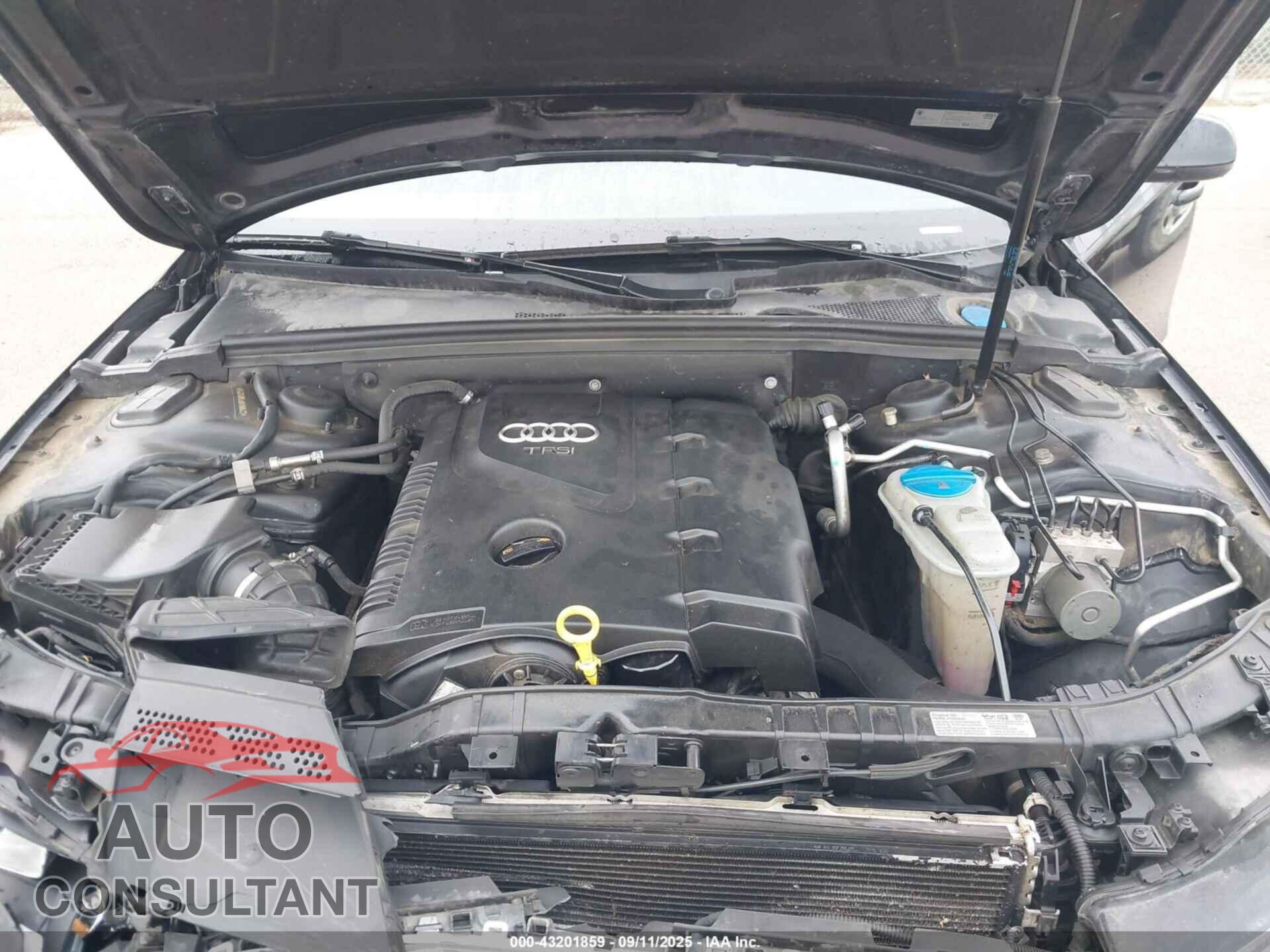 AUDI A4 2013 - WAUDFAFL4DA183472