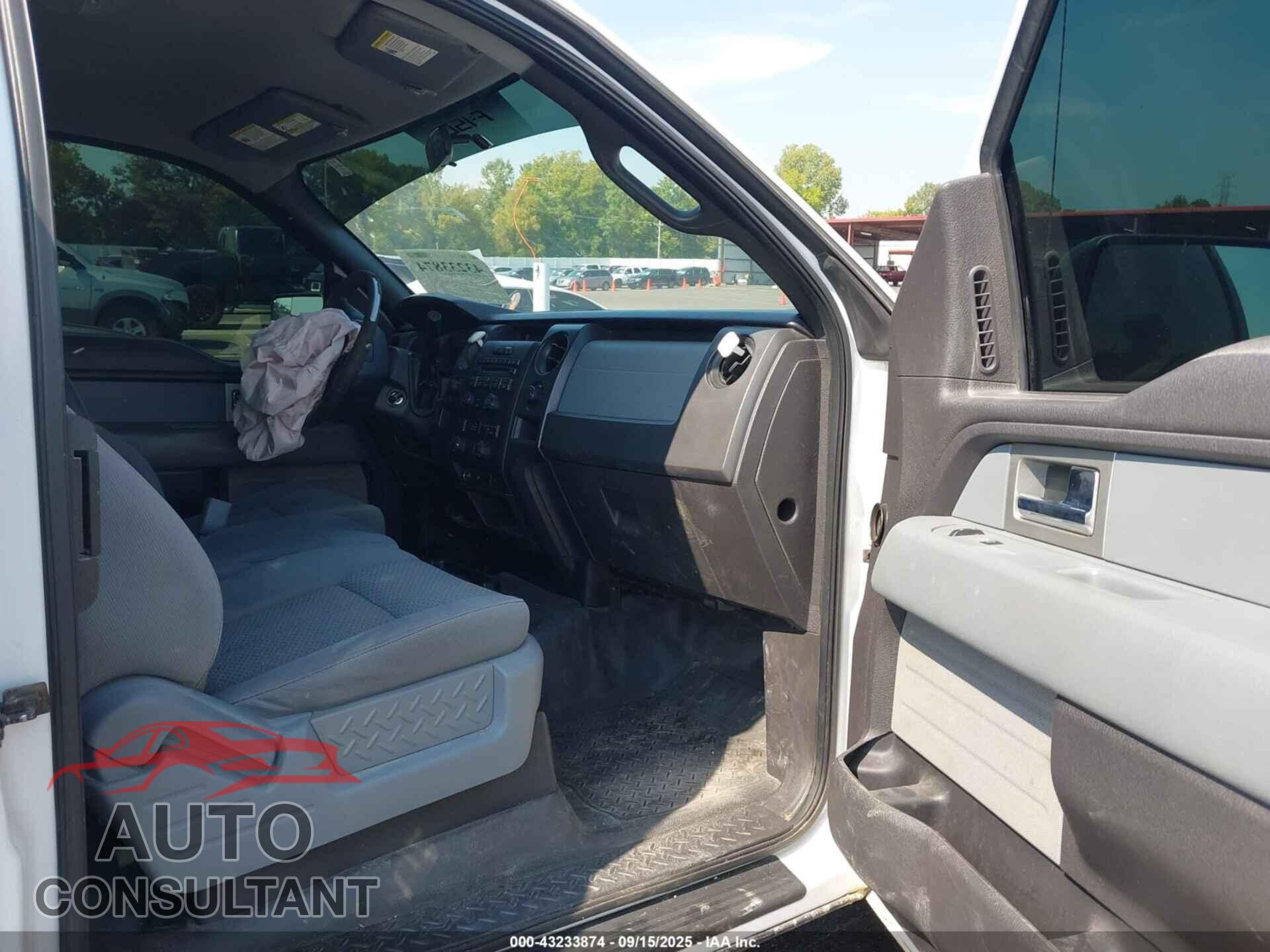 FORD F-150 2011 - 1FTFX1EF8BKD13541