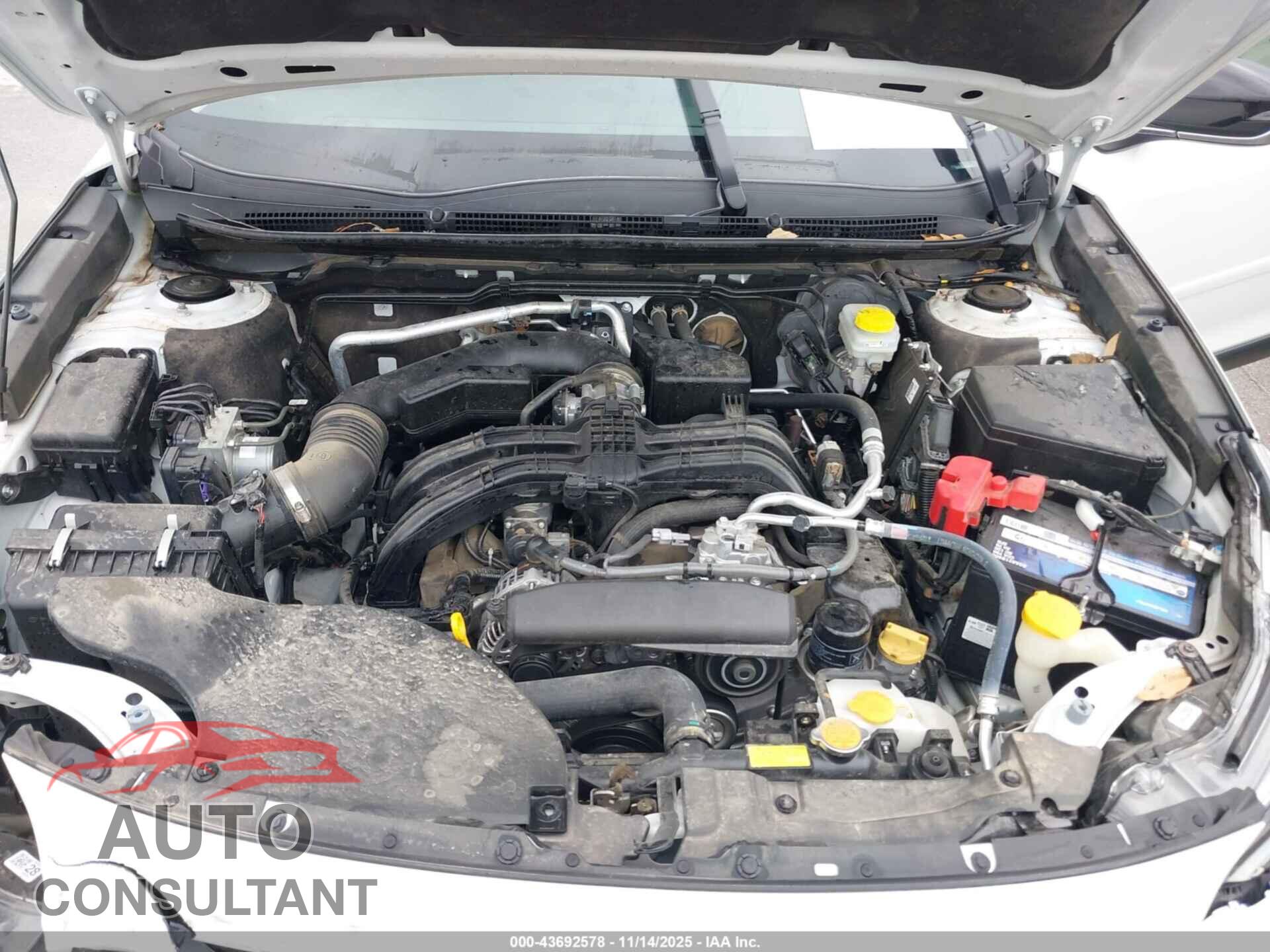 SUBARU OUTBACK 2024 - 4S4BTADC8R3279313