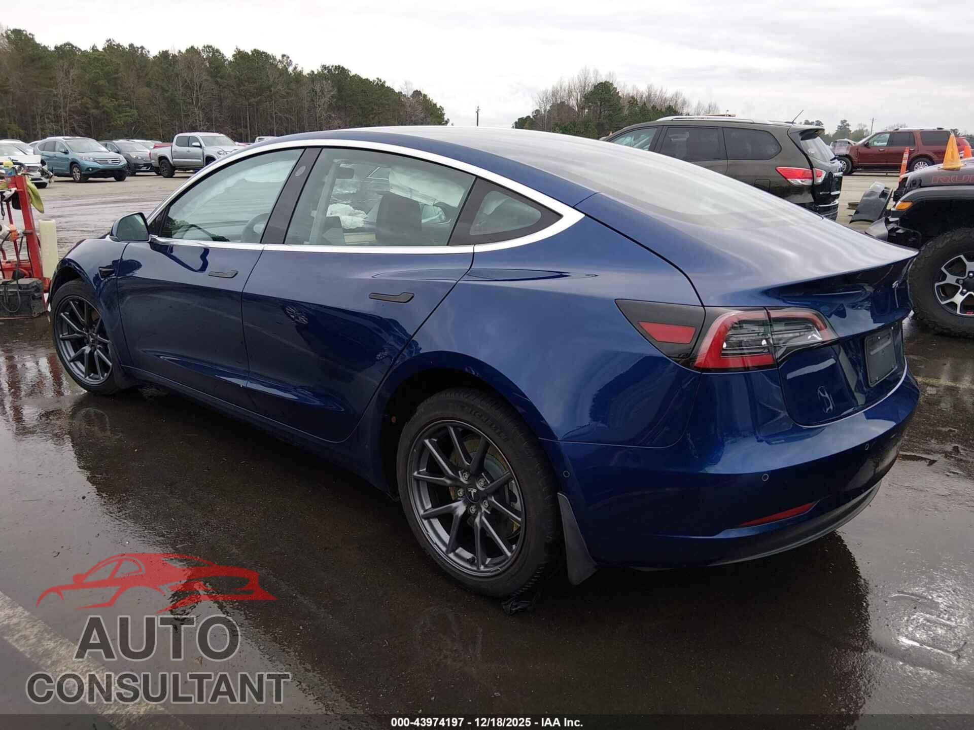 TESLA MODEL 3 2019 - 5YJ3E1EA8KF317373