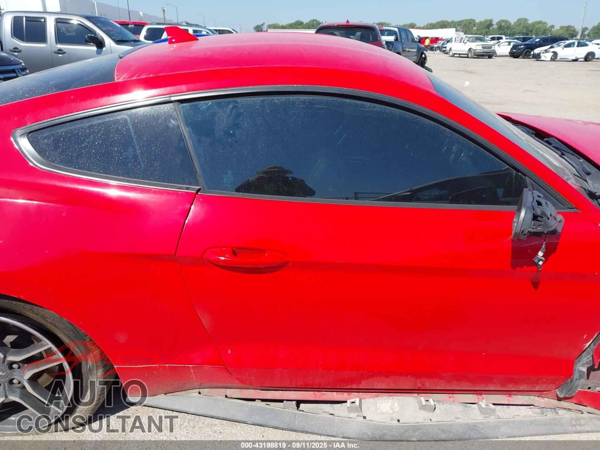 FORD MUSTANG 2022 - 1FA6P8TH2N5100882