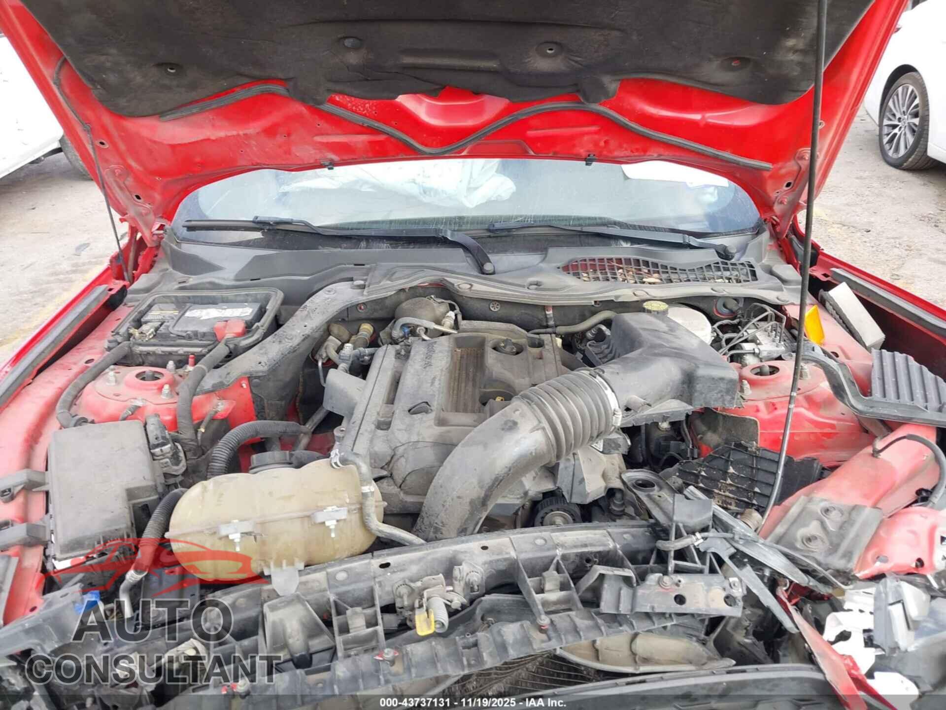 FORD MUSTANG 2020 - 1FA6P8TH0L5124546