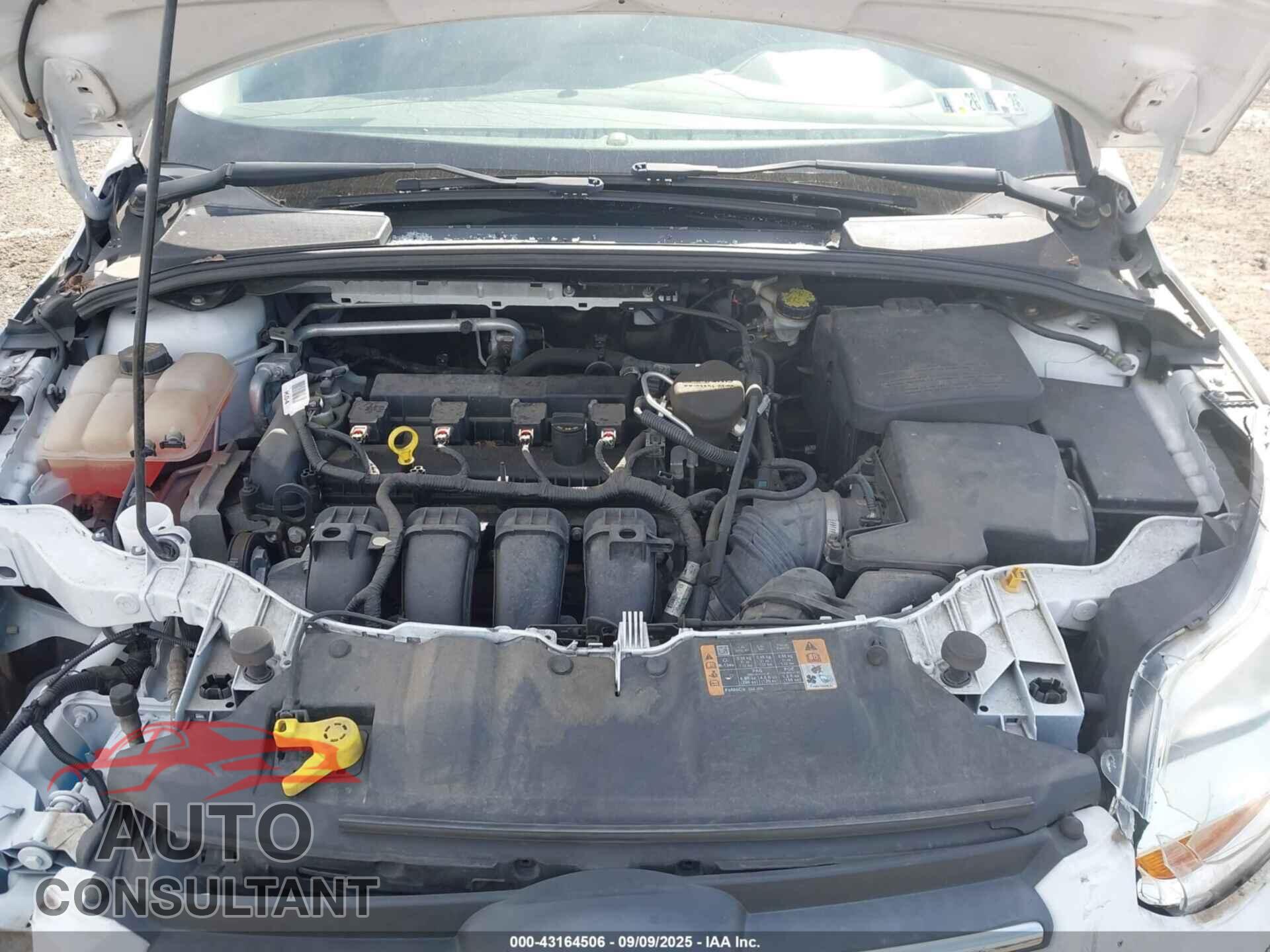 FORD FOCUS 2014 - 1FADP3F22EL446539