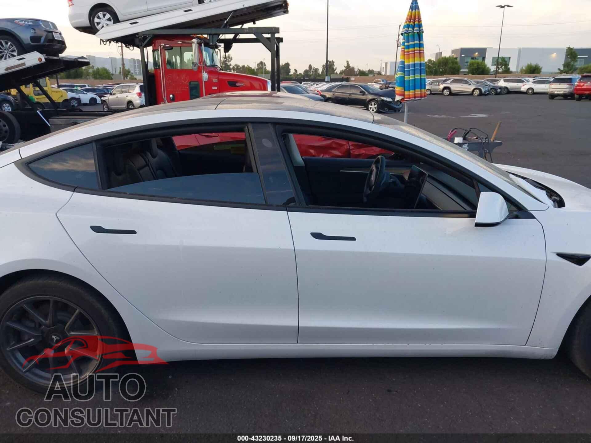 TESLA MODEL 3 2021 - 5YJ3E1EA3MF981891