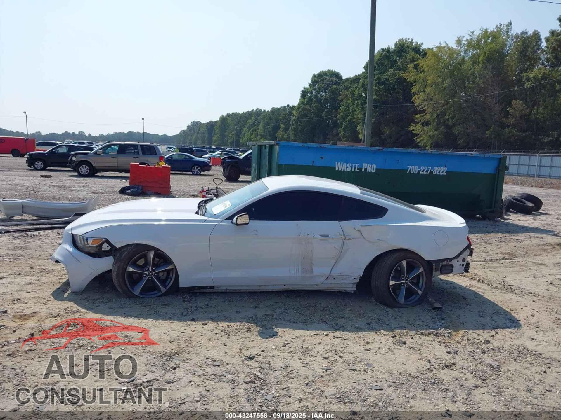 FORD MUSTANG 2016 - 1FA6P8AM7G5241160