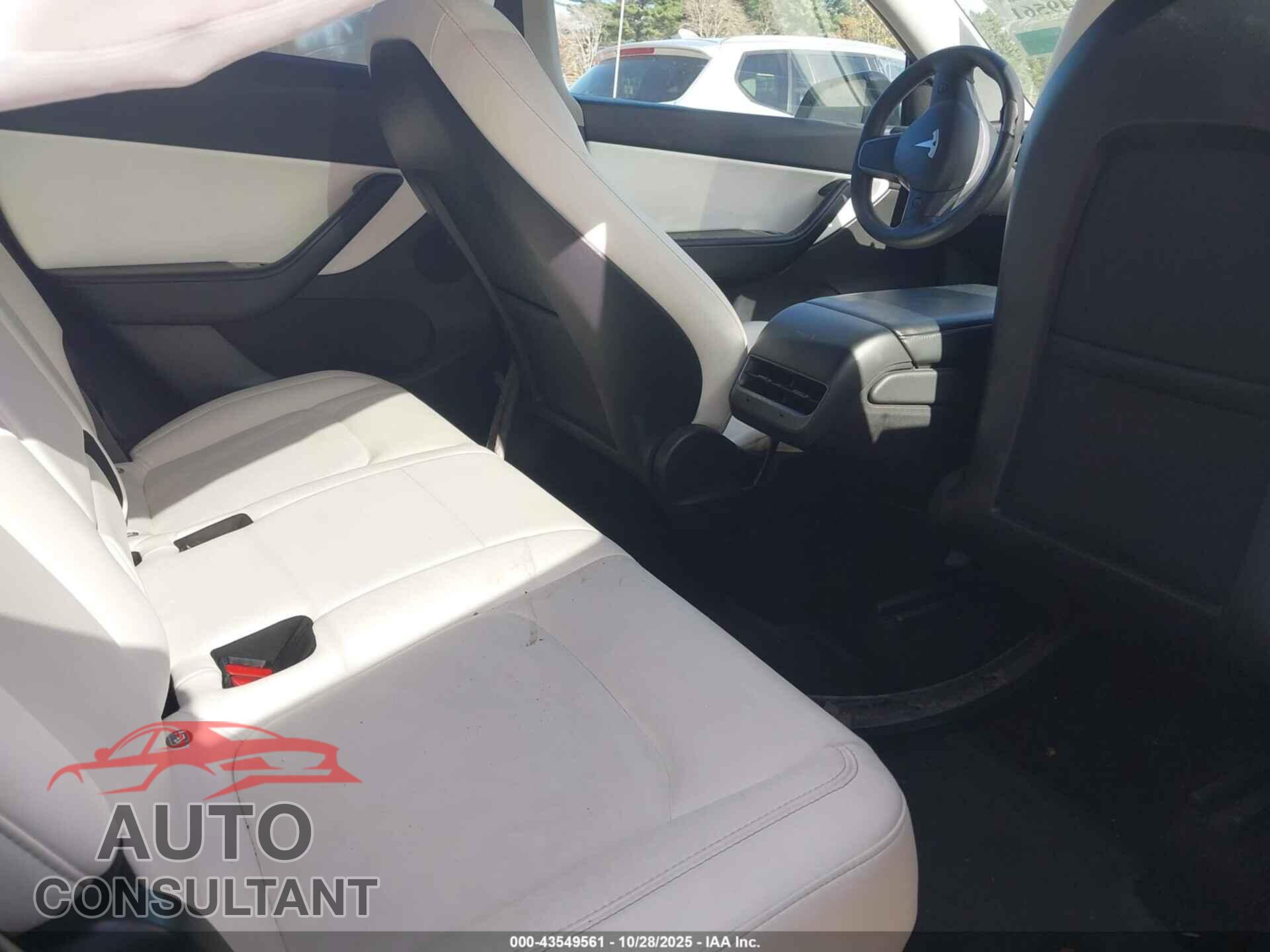 TESLA MODEL Y 2021 - 5YJYGDEE8MF081069