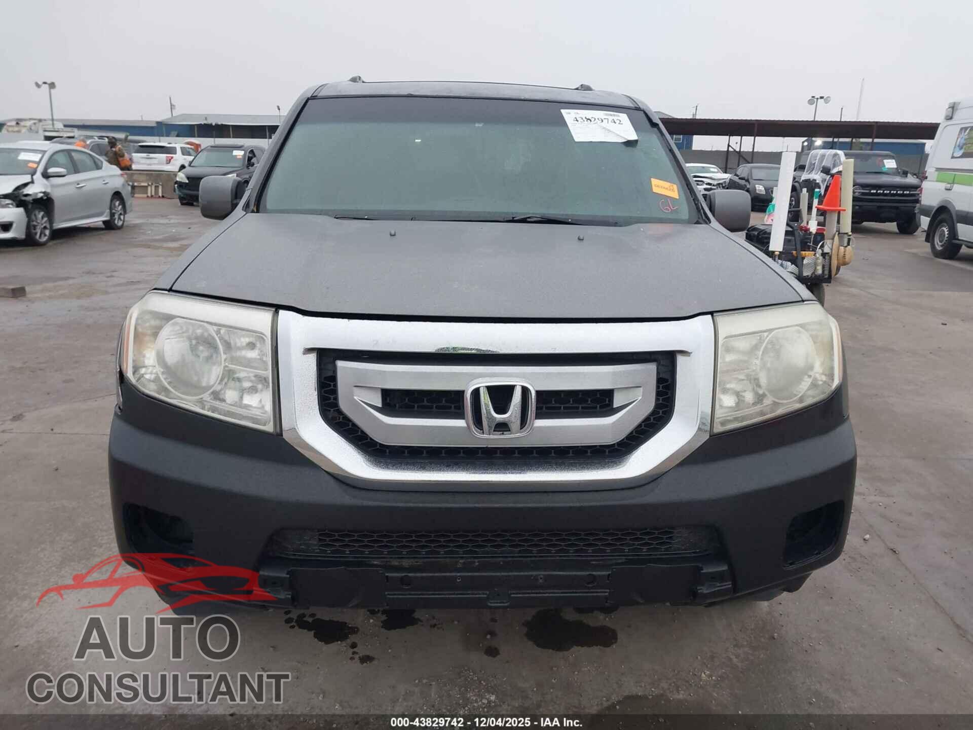 HONDA PILOT 2009 - 5FNYF38519B020100