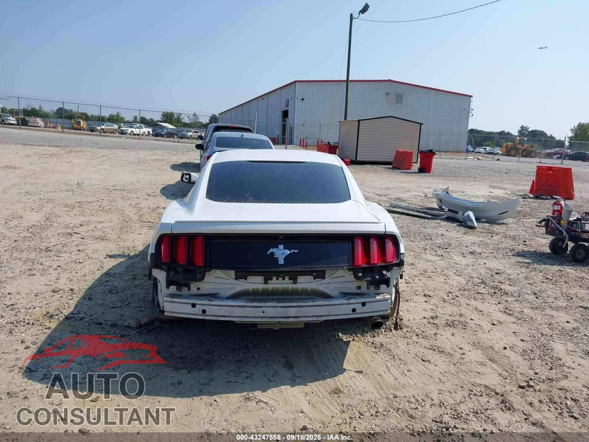 FORD MUSTANG 2016 - 1FA6P8AM7G5241160