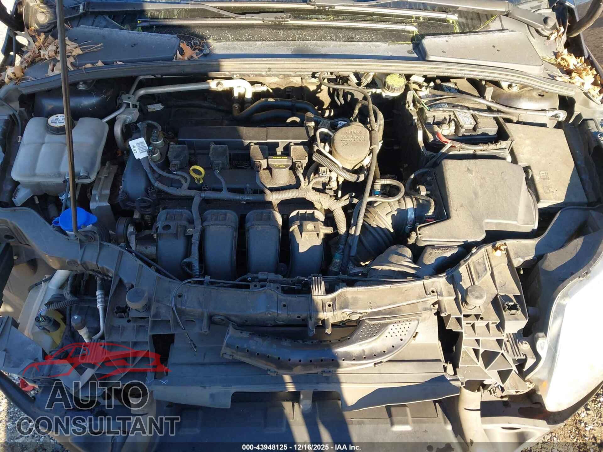 FORD FOCUS 2012 - 1FAHP3F24CL433242