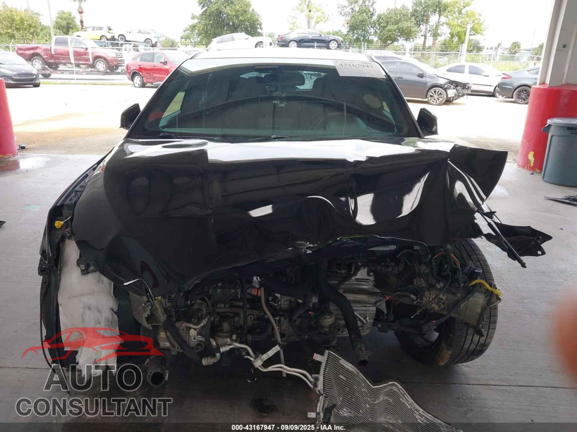 HYUNDAI VELOSTER N 2020 - KMHT36AH8LU004852