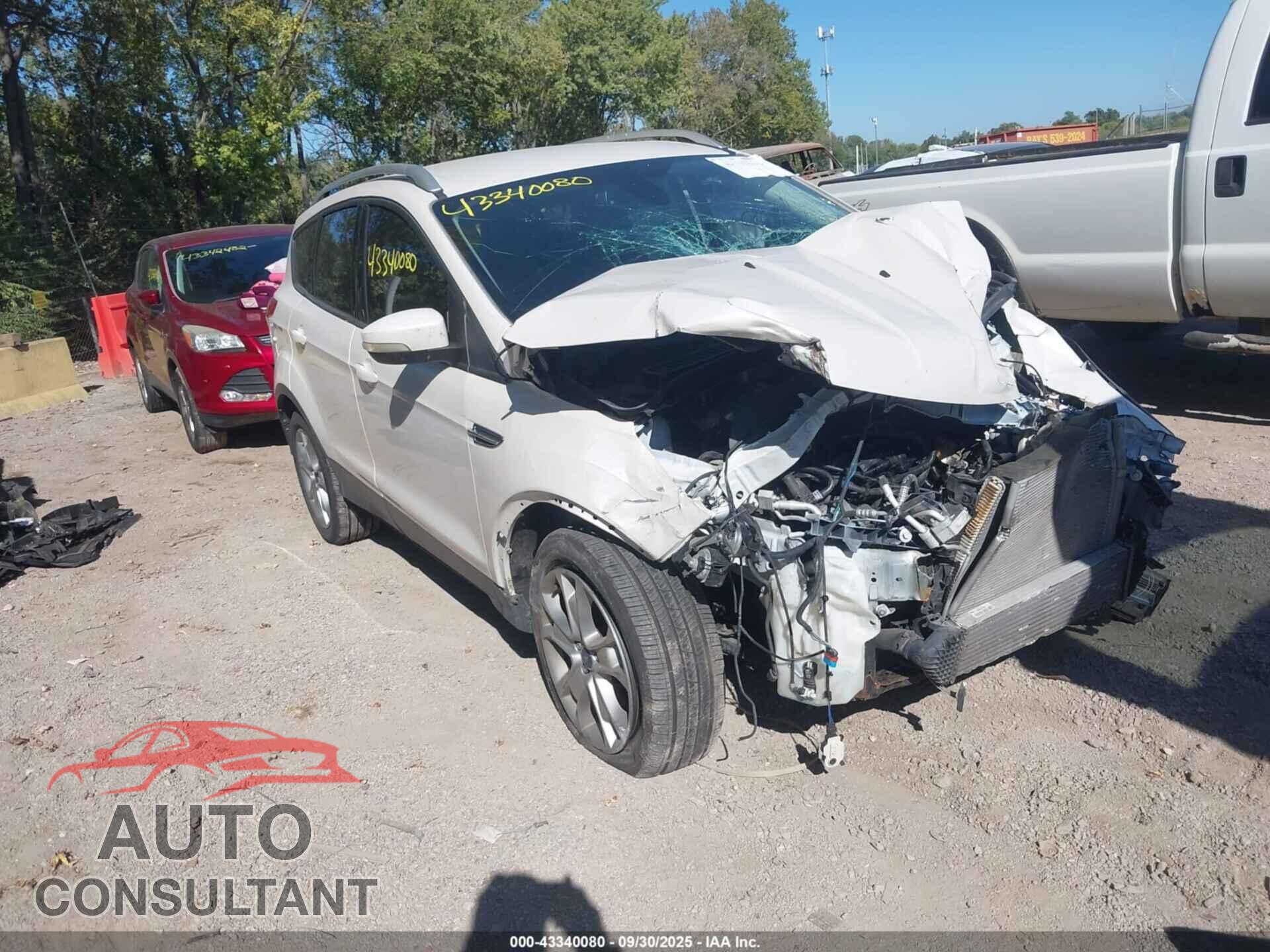 FORD ESCAPE 2014 - 1FMCU0JX7EUB43181