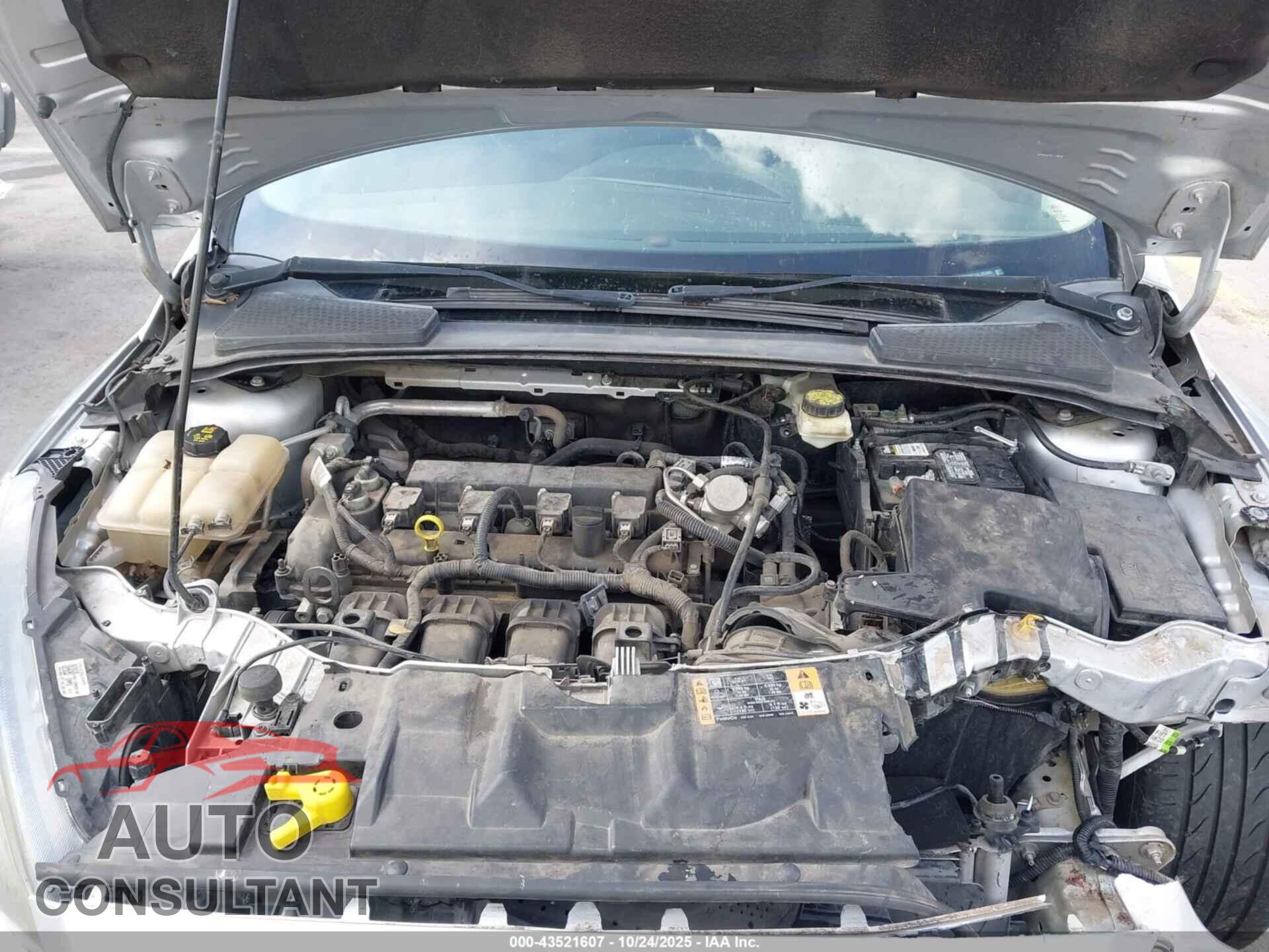 FORD FOCUS 2017 - 1FADP3H21HL283965