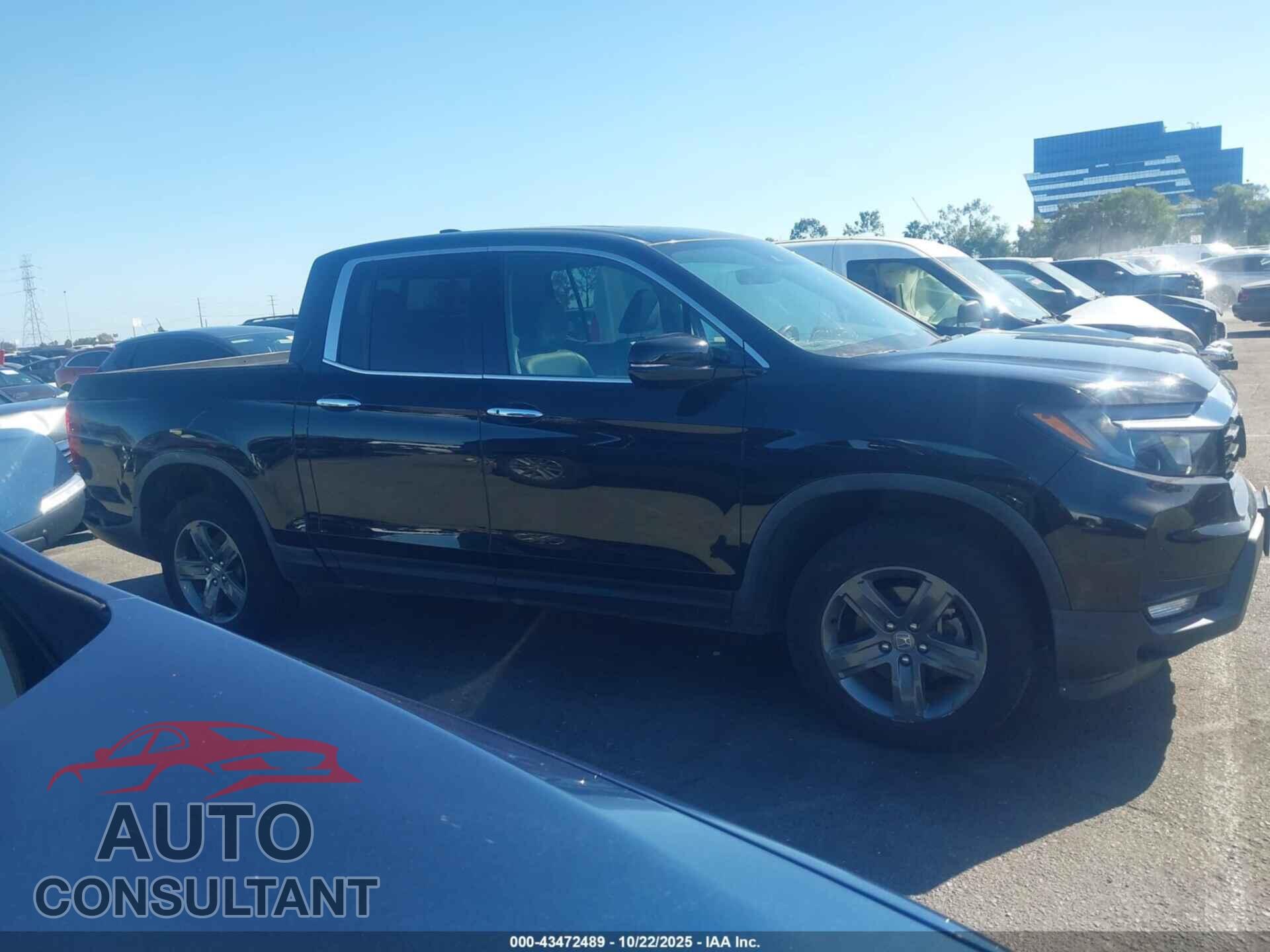HONDA RIDGELINE 2021 - 5FPYK3F76MB002045