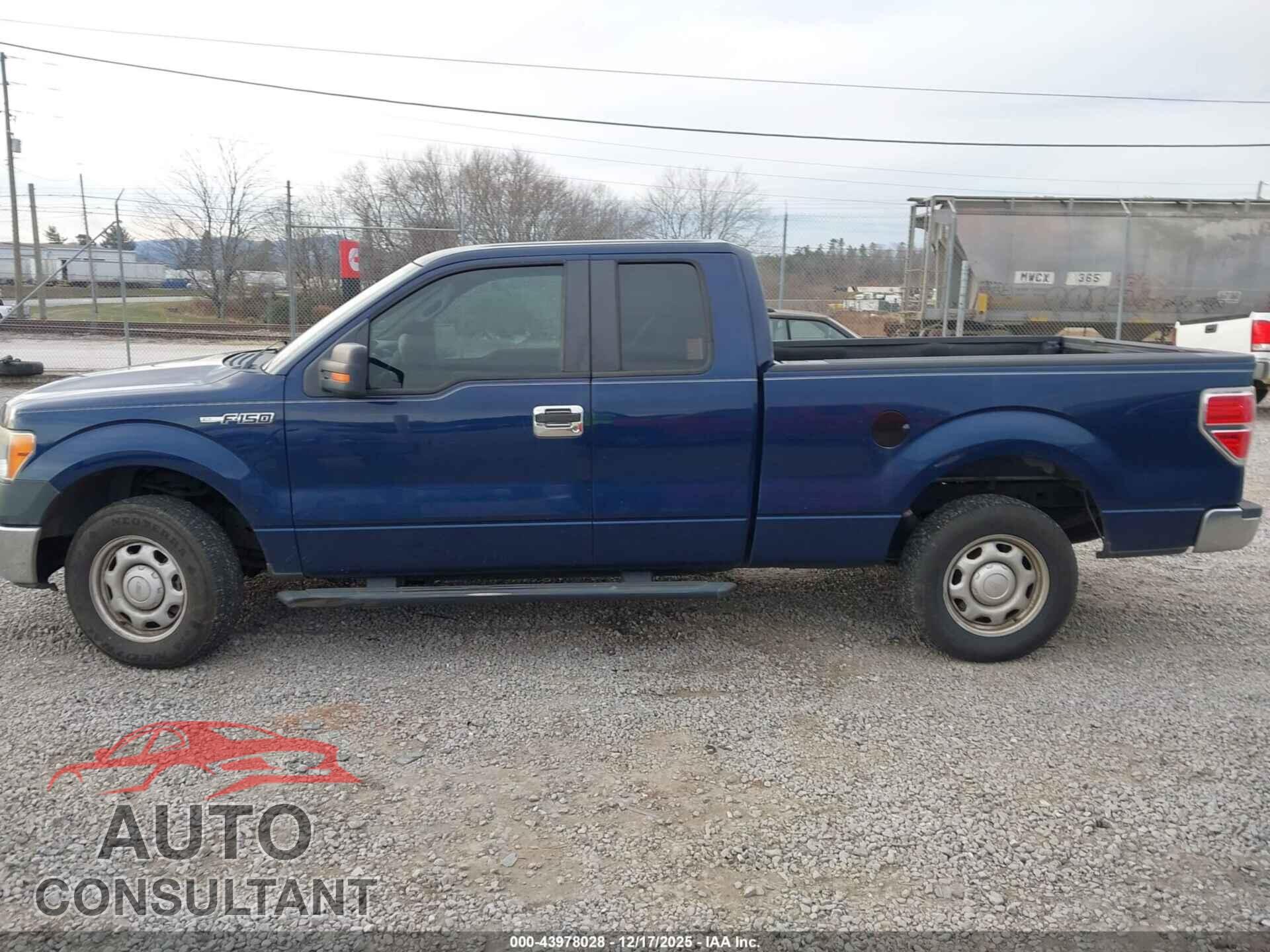 FORD F-150 2011 - 1FTFX1CFXBKD49654