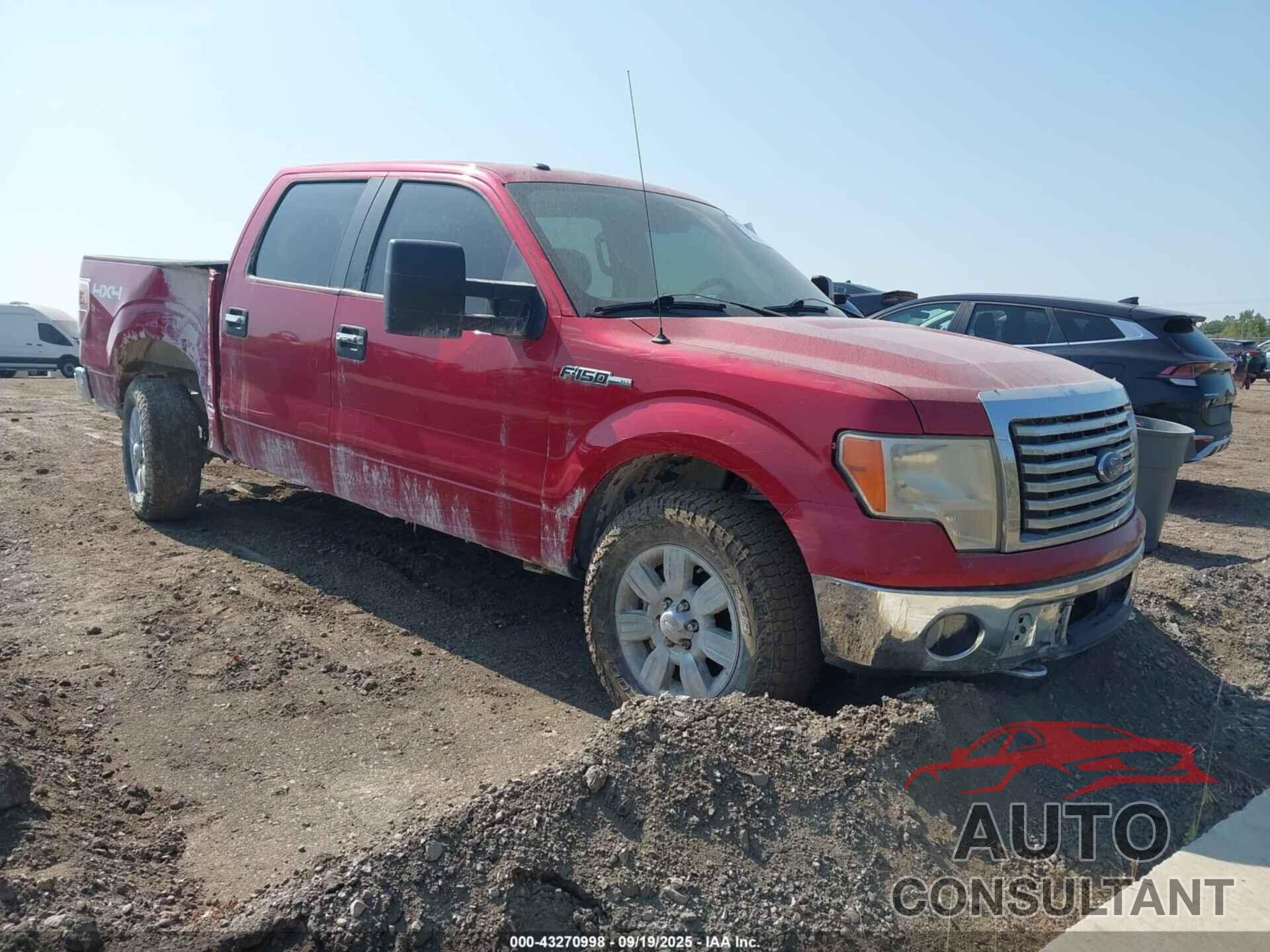 FORD F-150 2010 - 1FTFW1EV2AFD54099