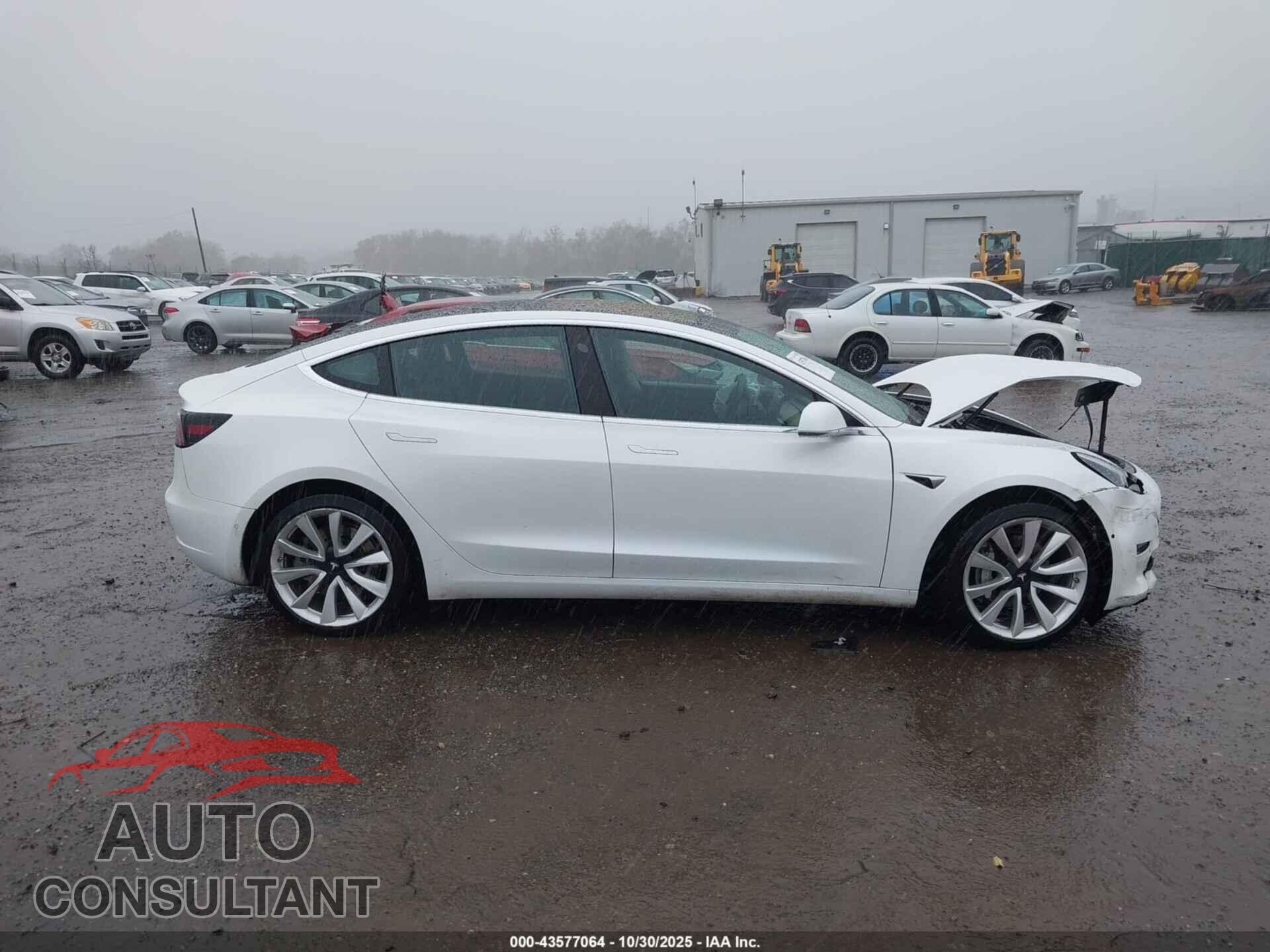TESLA MODEL 3 2019 - 5YJ3E1EA0KF327038
