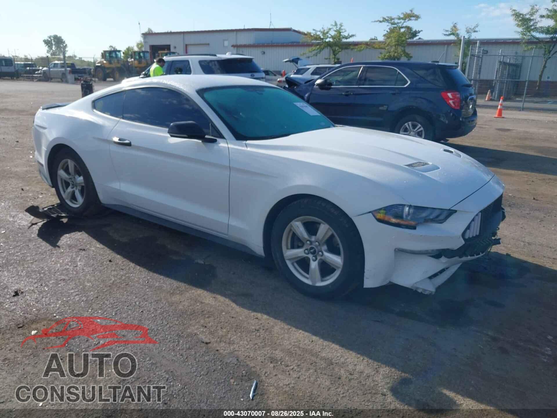 FORD MUSTANG 2019 - 1FA6P8TH4K5122801