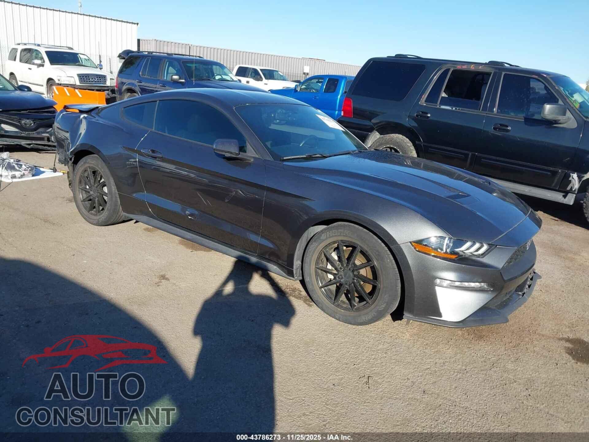 FORD MUSTANG 2019 - 1FA6P8TH7K5194902