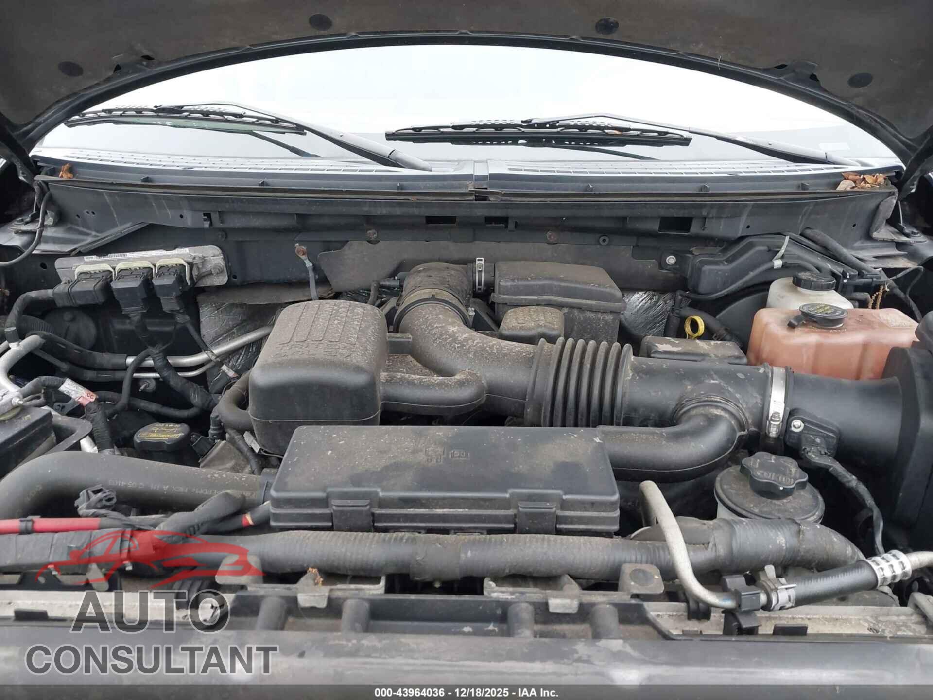 FORD F-150 2010 - 1FTFW1EV1AKE78372