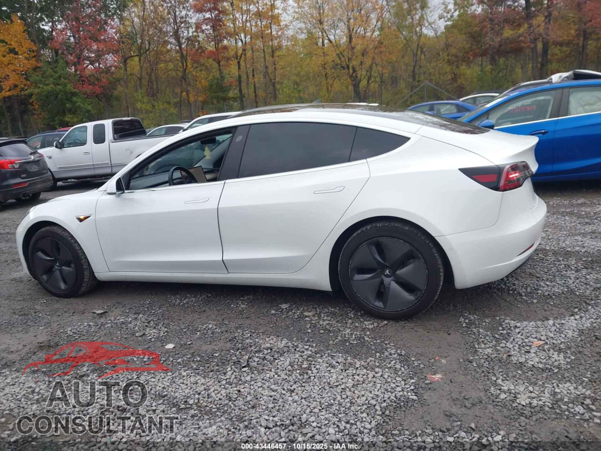 TESLA MODEL 3 2019 - 5YJ3E1EB3KF388196