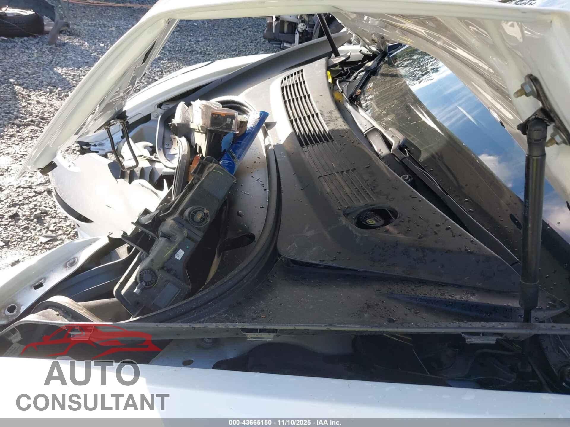 TESLA MODEL 3 2019 - 5YJ3E1EB4KF211771