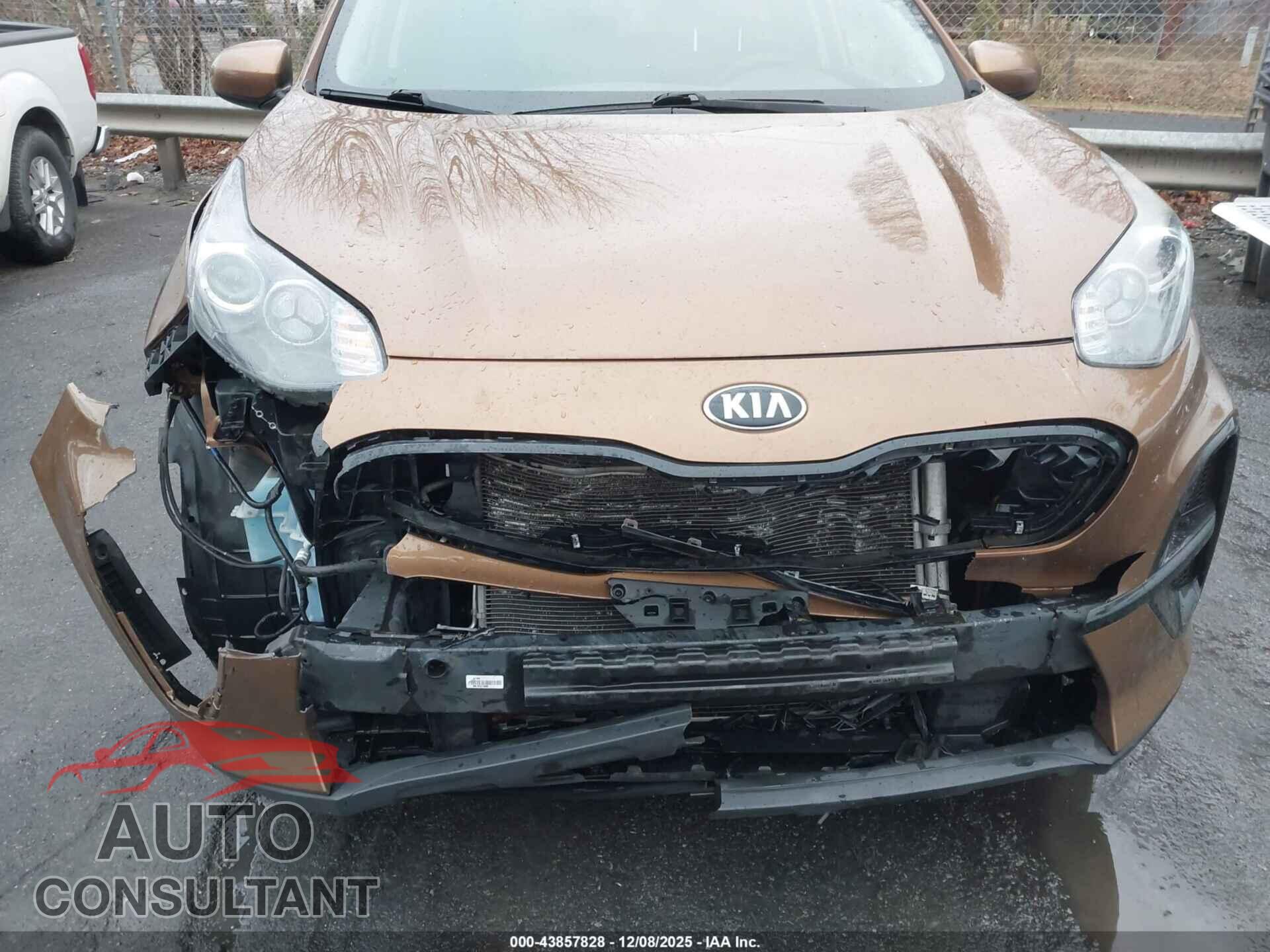 KIA SPORTAGE 2021 - KNDPM3AC7M7921853
