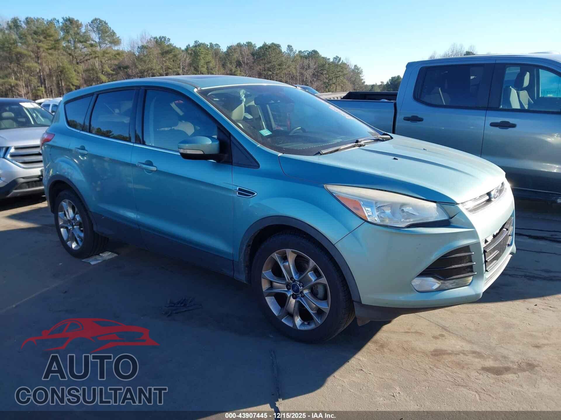 FORD ESCAPE 2013 - 1FMCU0HX8DUD48383