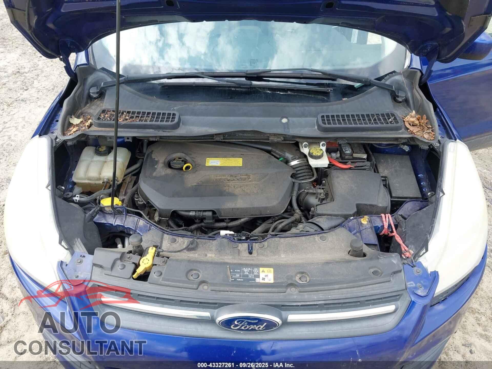 FORD ESCAPE 2013 - 1FMCU0GX0DUD68371
