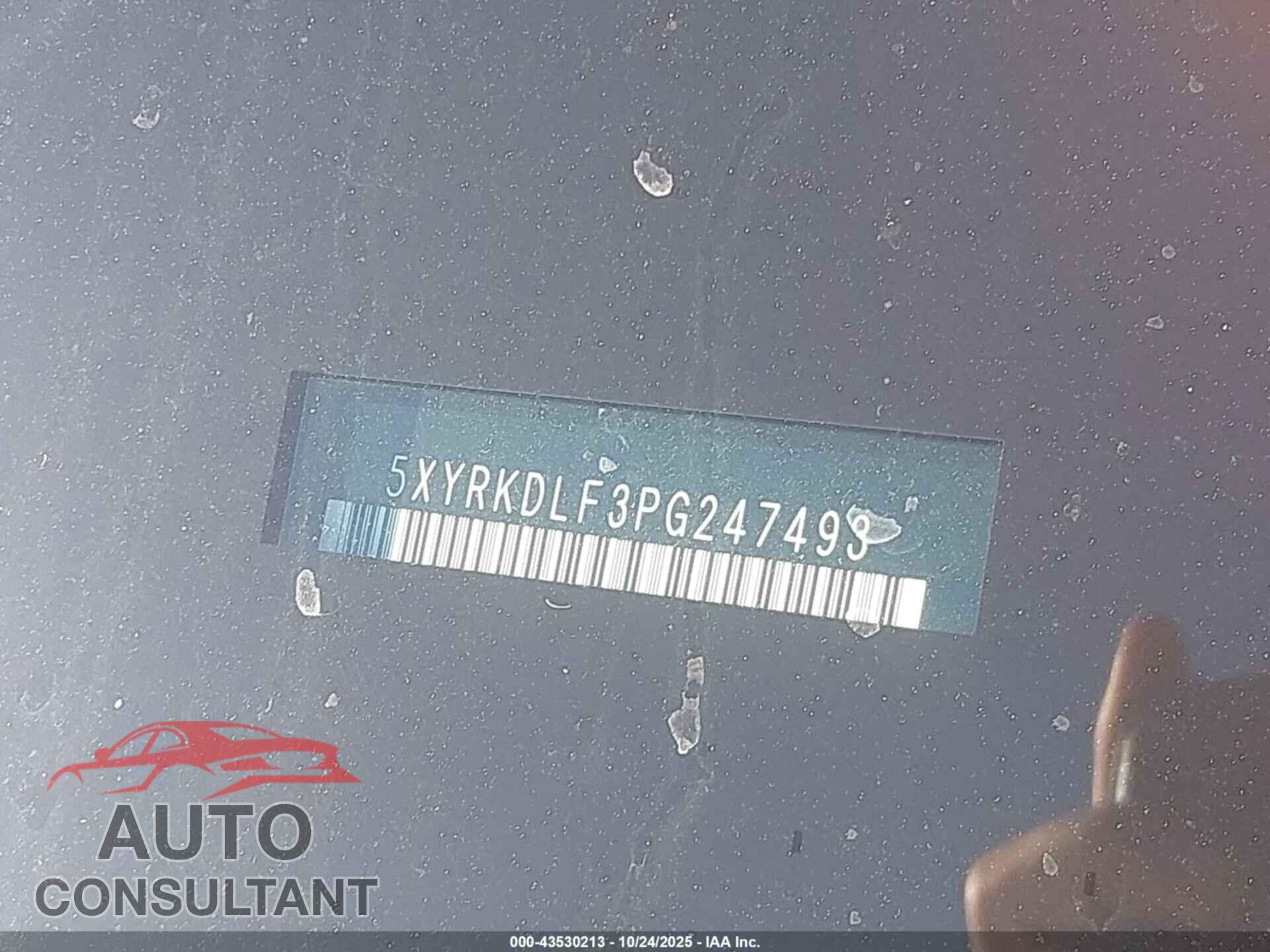 KIA SORENTO 2023 - 5XYRKDLF3PG247493