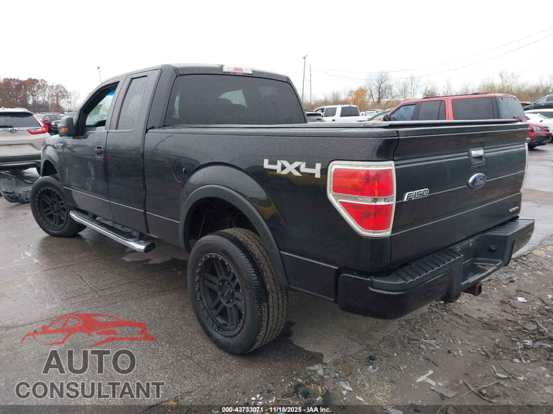 FORD F-150 2013 - 1FTFX1EF7DFC25897