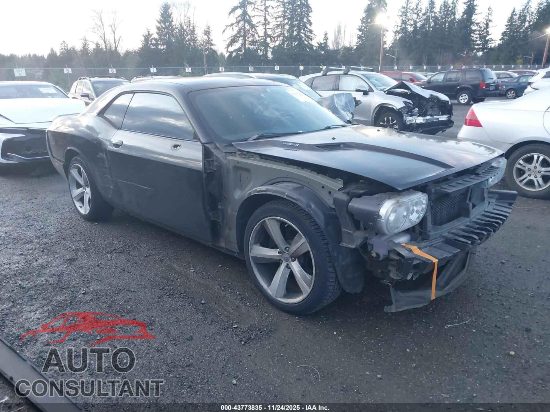 DODGE CHALLENGER 2013 - 2C3CDYBT9DH587618