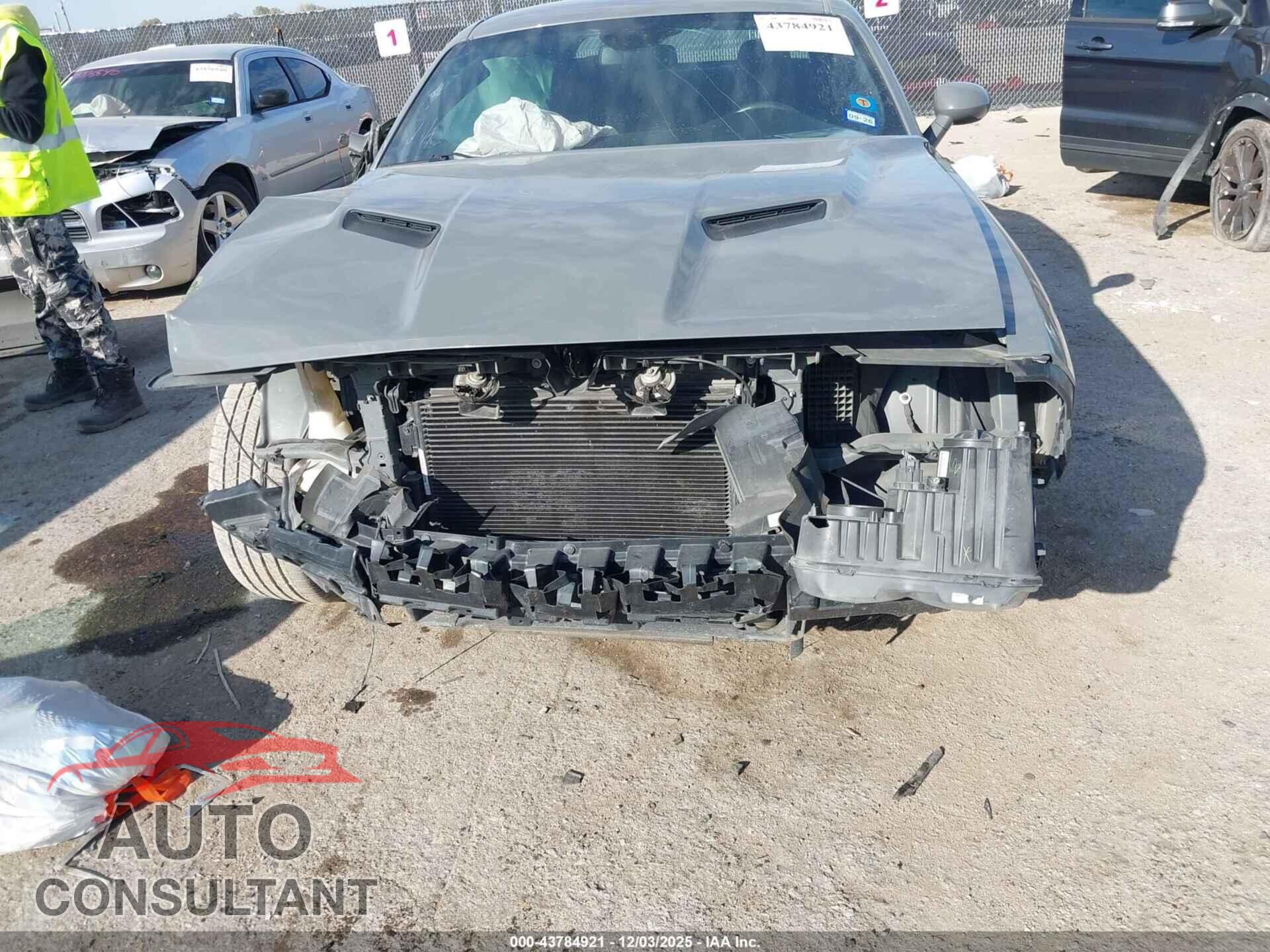 DODGE CHALLENGER 2019 - 2C3CDZAG2KH593736
