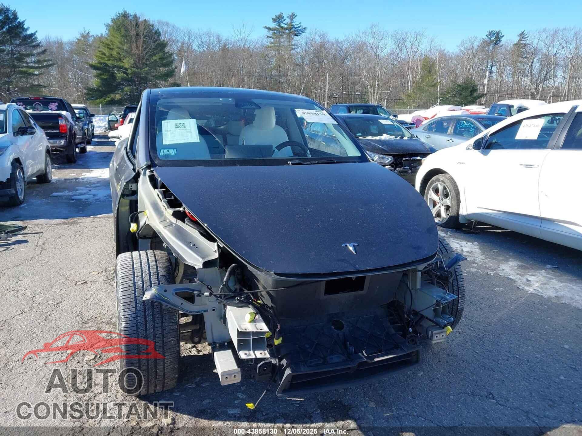 TESLA MODEL Y 2021 - 5YJYGDEE5MF083071