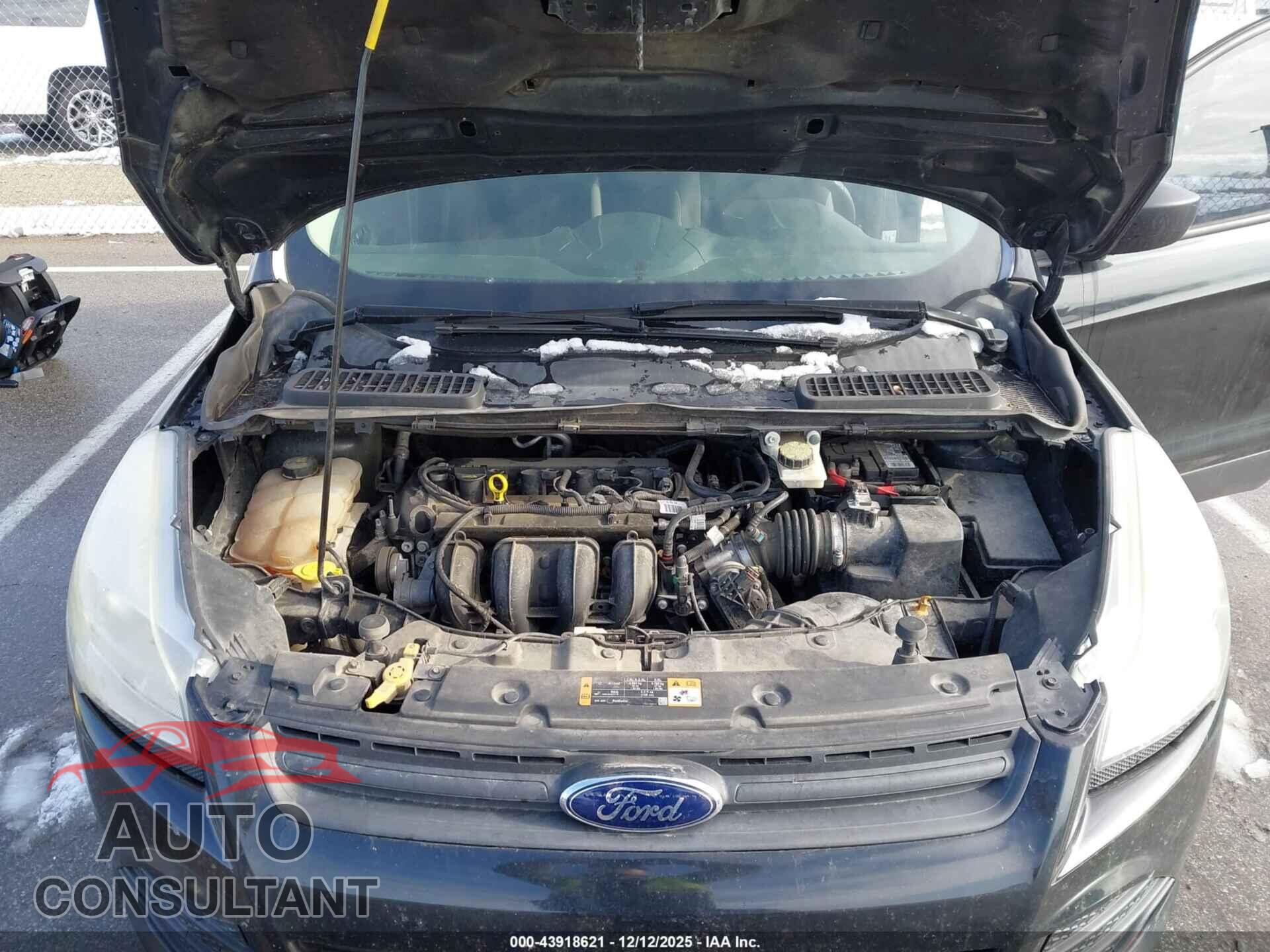 FORD ESCAPE 2014 - 1FMCU0F70EUB24688
