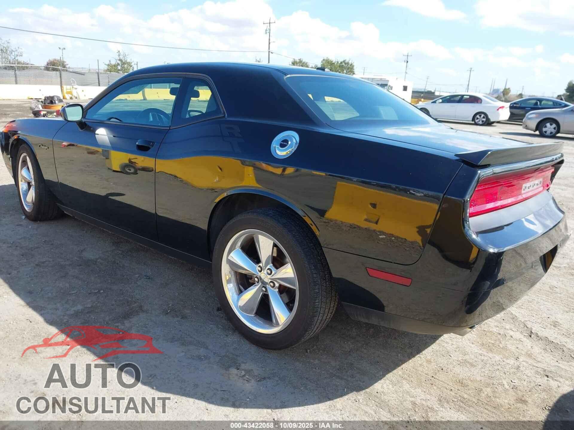 DODGE CHALLENGER 2014 - 2C3CDYBT9EH237262