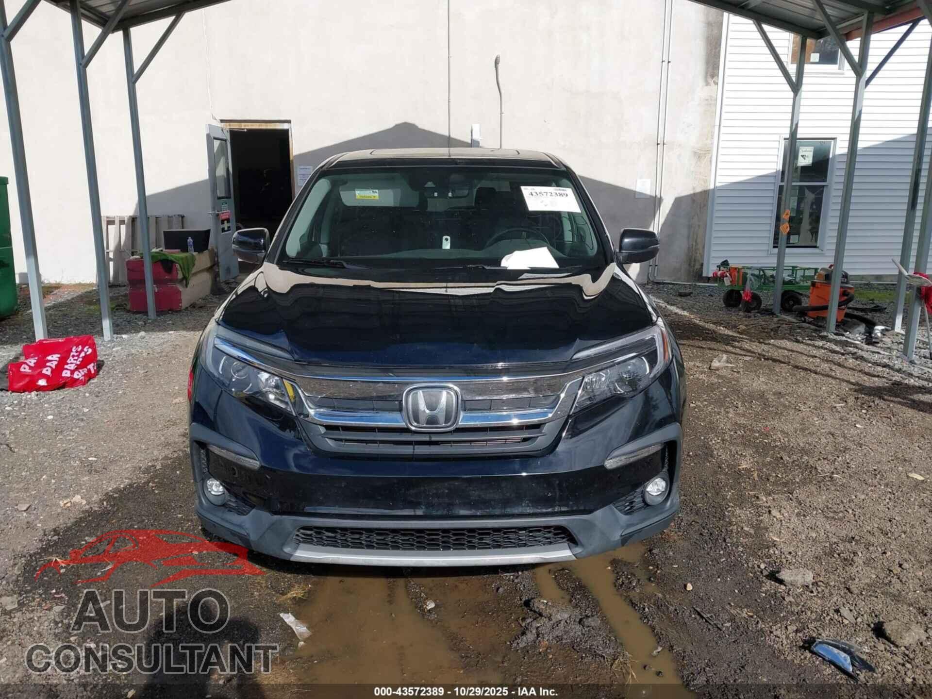 HONDA PILOT 2019 - 5FNYF6H55KB014159